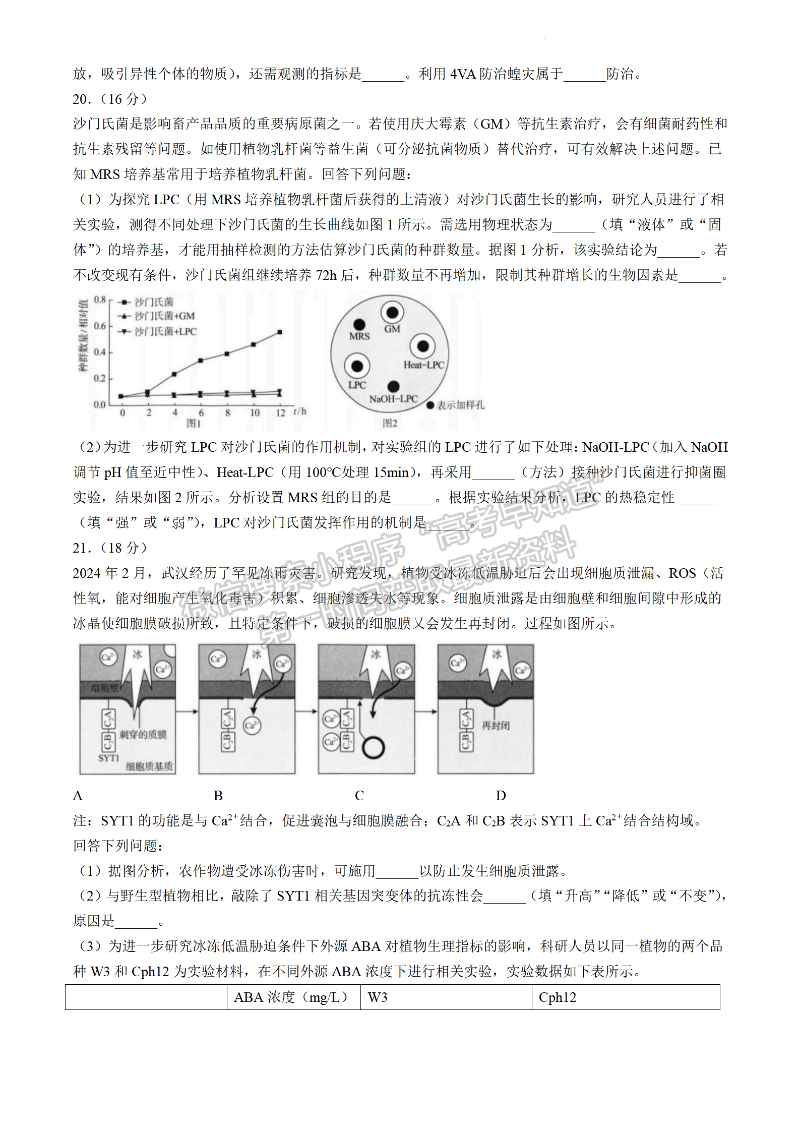 2024屆湖北省武漢市高三4月調(diào)研考試生物試題及答案