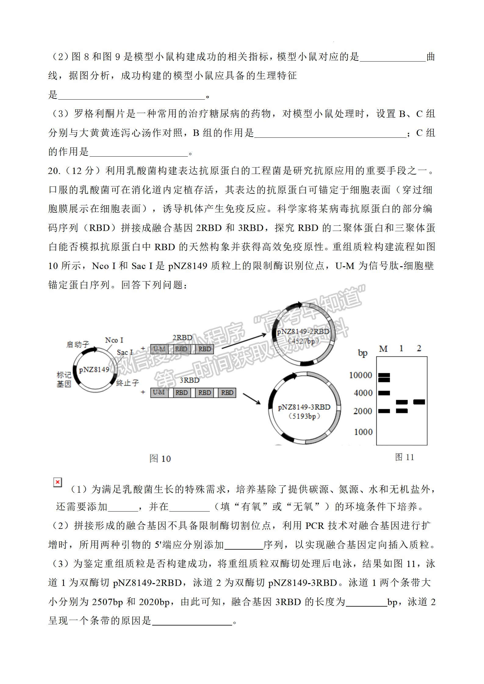 2024屆廣東省深圳市高三二模生物試題及答案