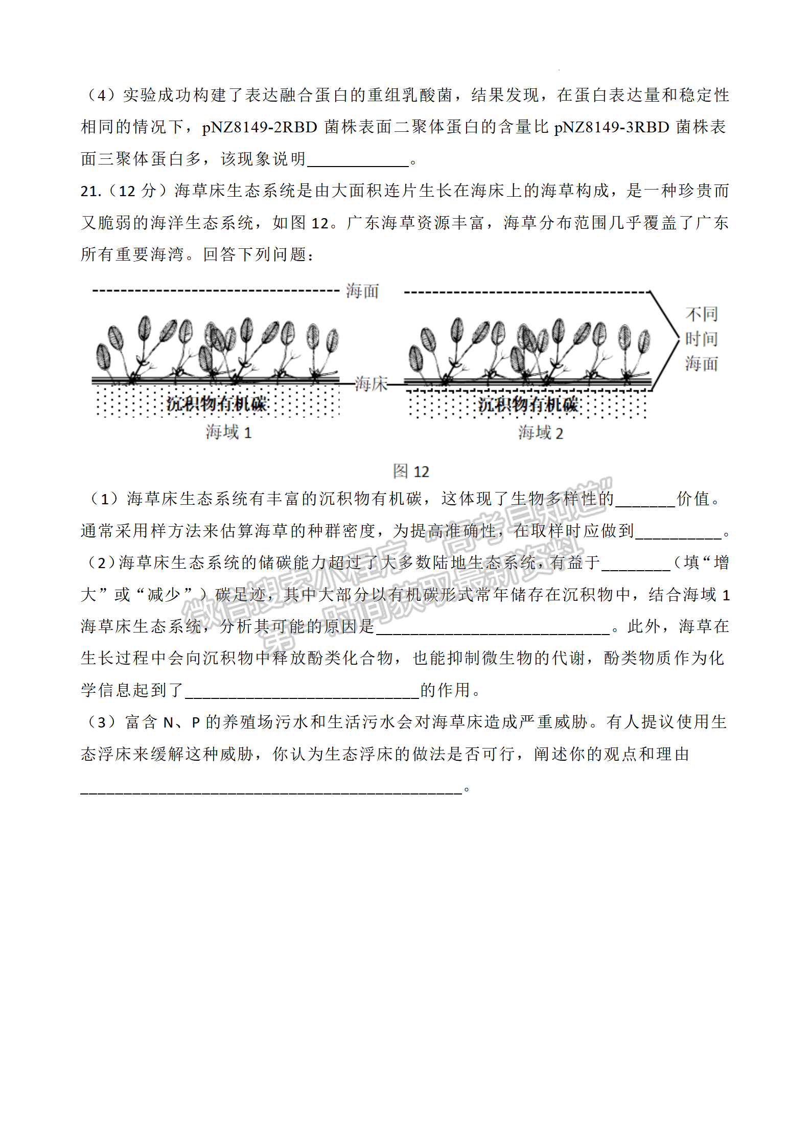 2024屆廣東省深圳市高三二模生物試題及答案