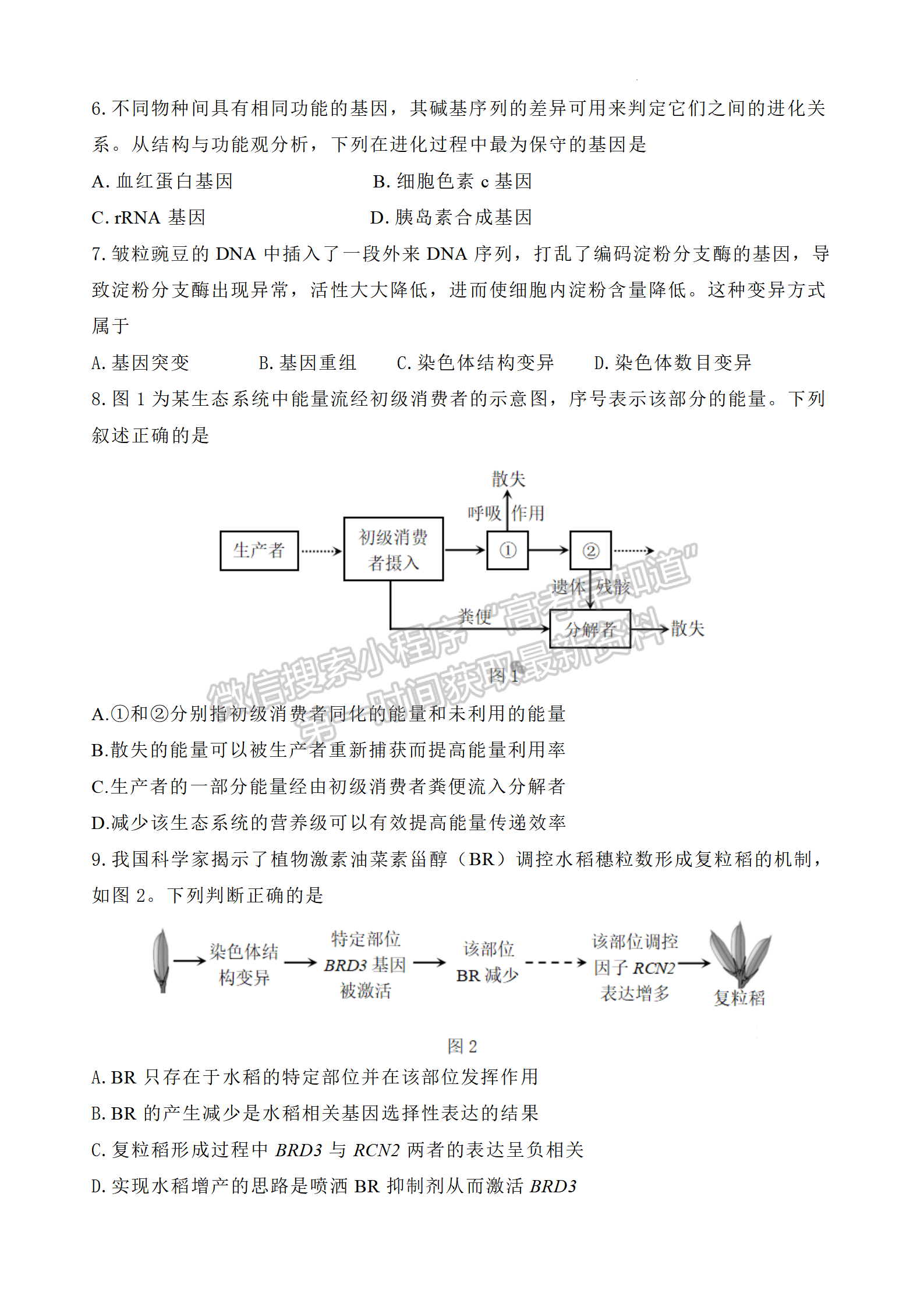 2024屆廣東省深圳市高三二模生物試題及答案