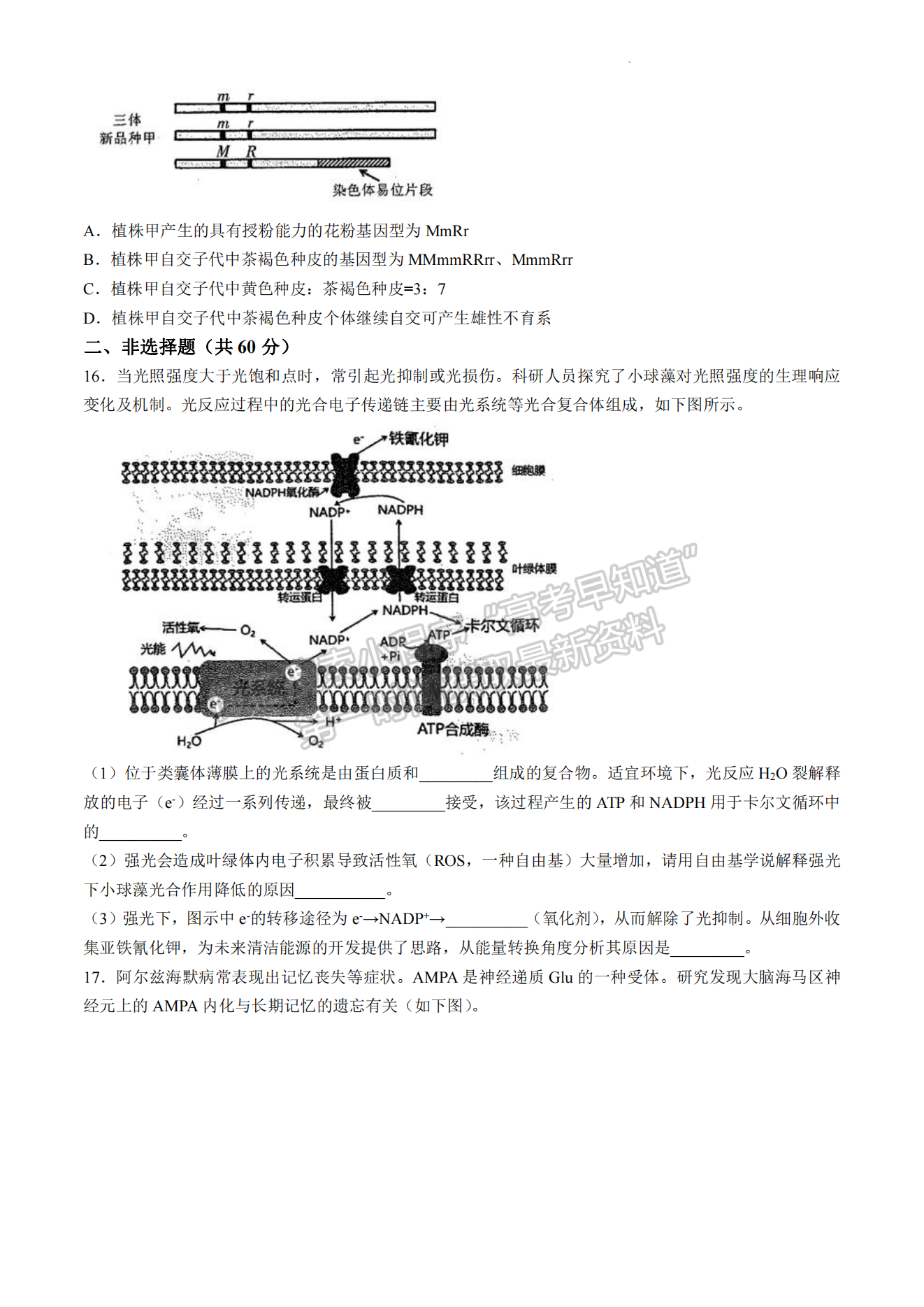 2024屆福州4月質(zhì)檢（4月26-28日）生物試卷及參考答案