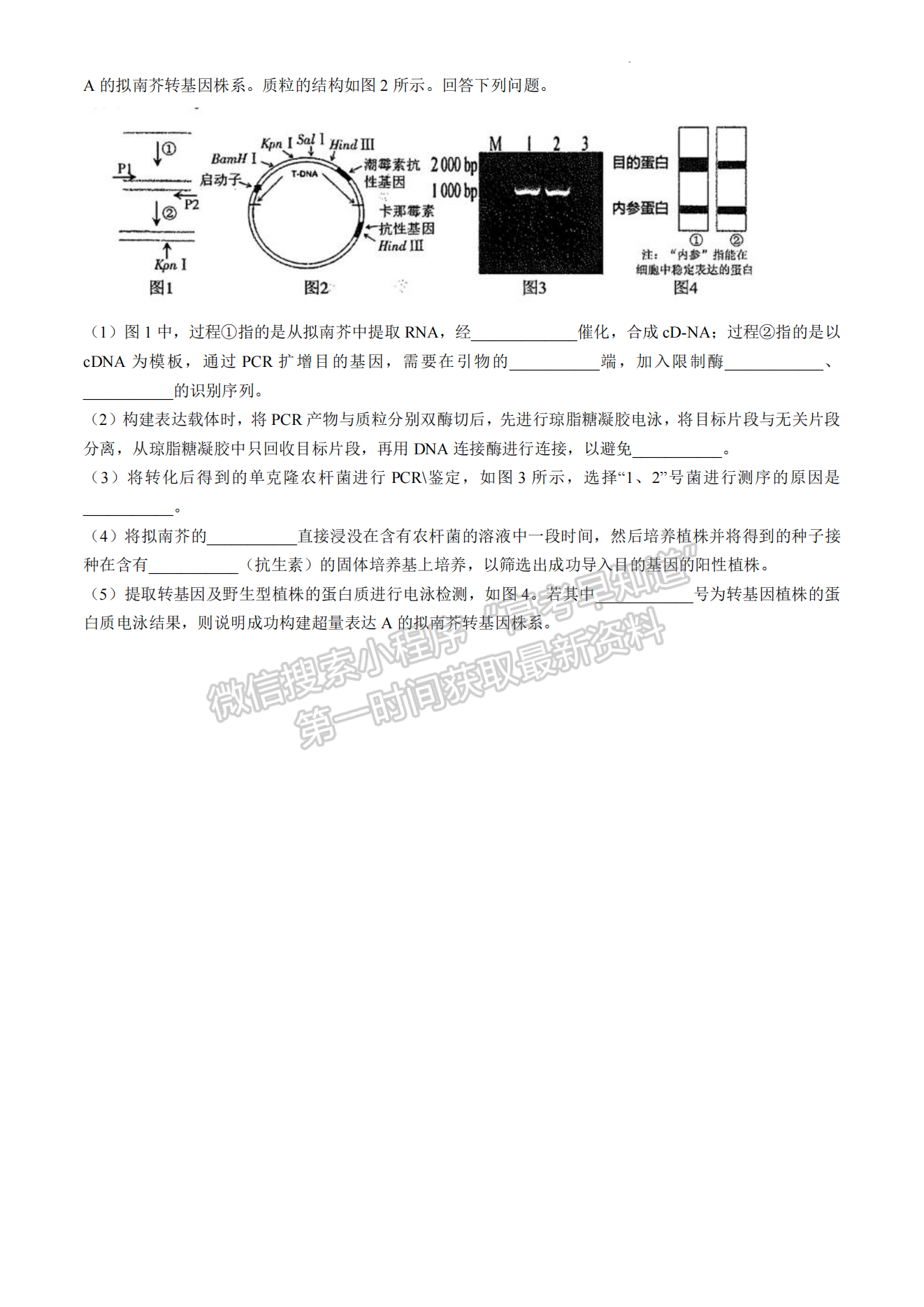 2024屆福州4月質(zhì)檢（4月26-28日）生物試卷及參考答案