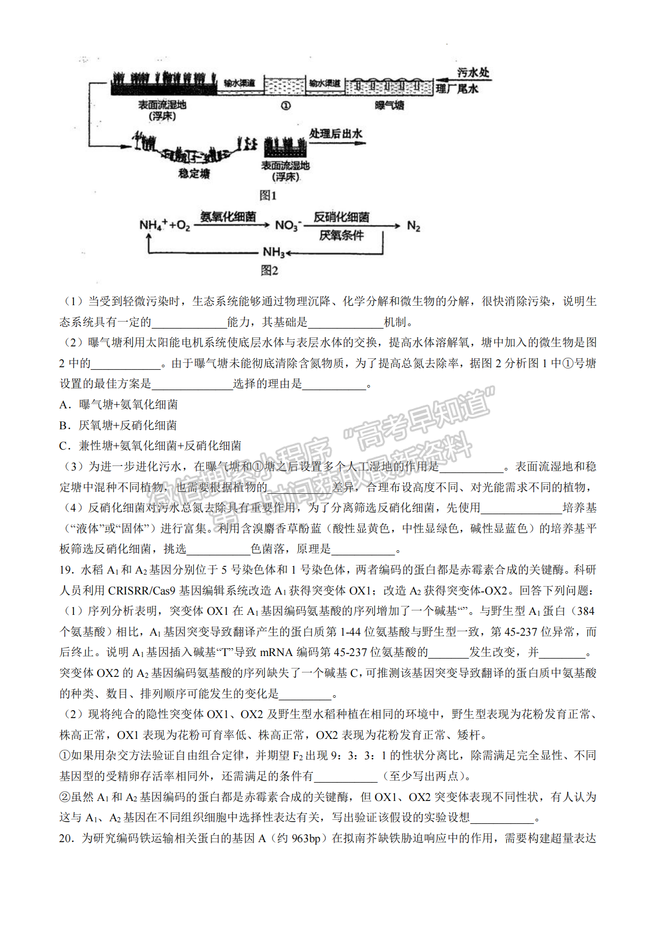 2024屆福州4月質(zhì)檢（4月26-28日）生物試卷及參考答案