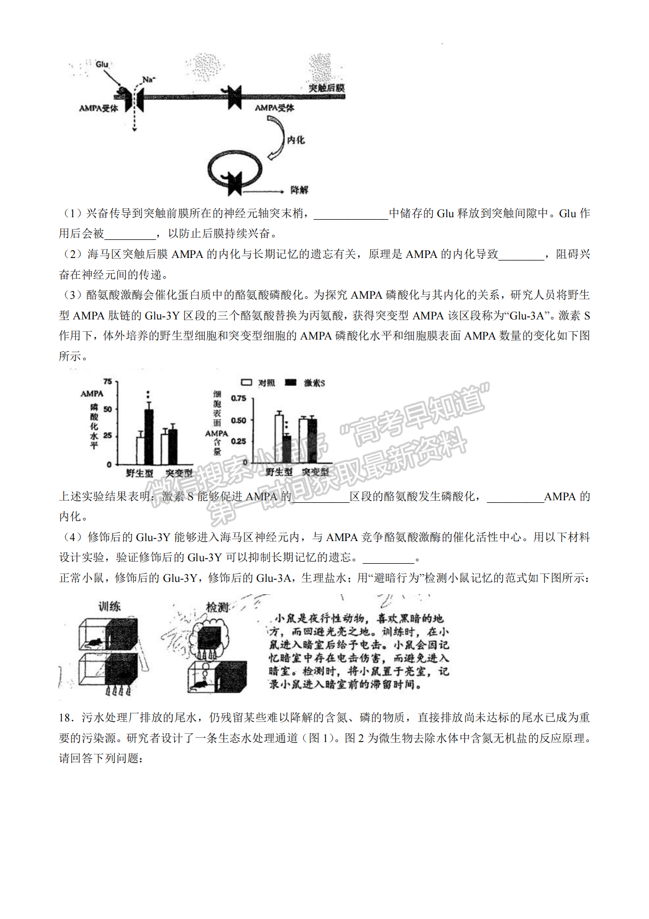 2024屆福州4月質(zhì)檢（4月26-28日）生物試卷及參考答案