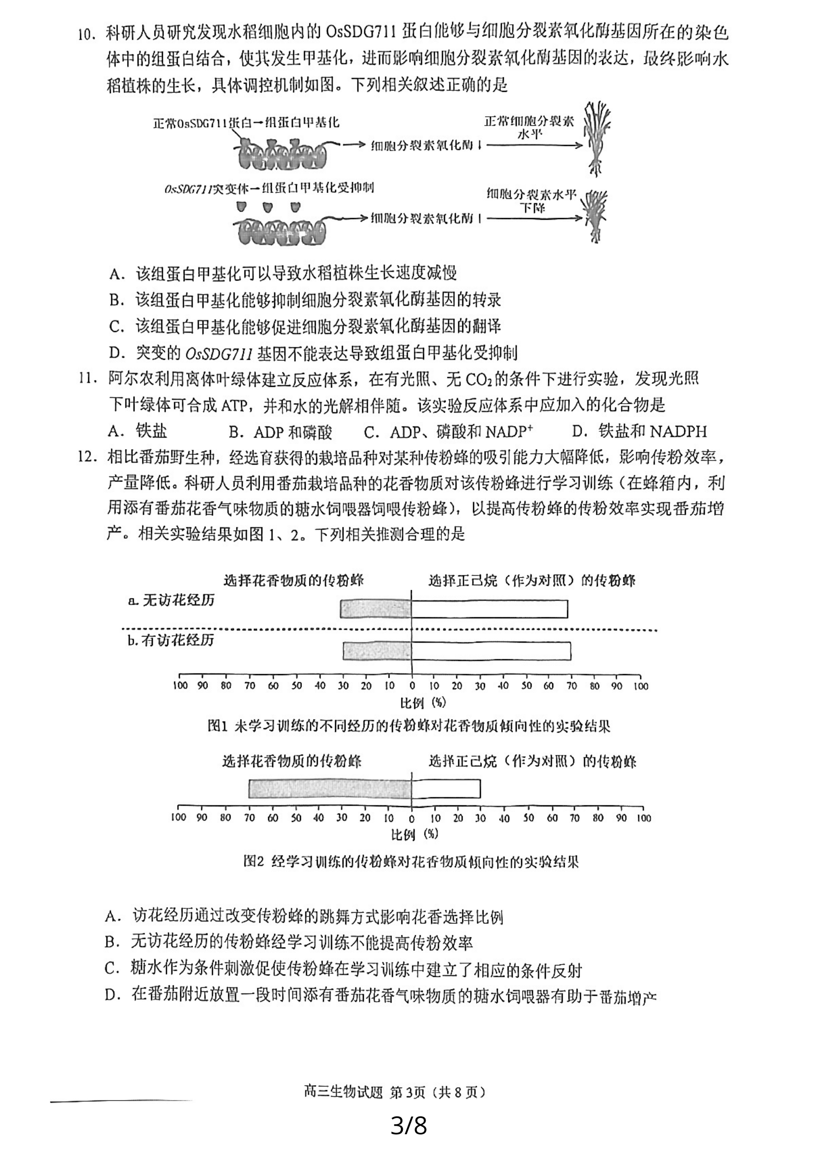 2024Ȫ5ʼ죨56-8գԾο