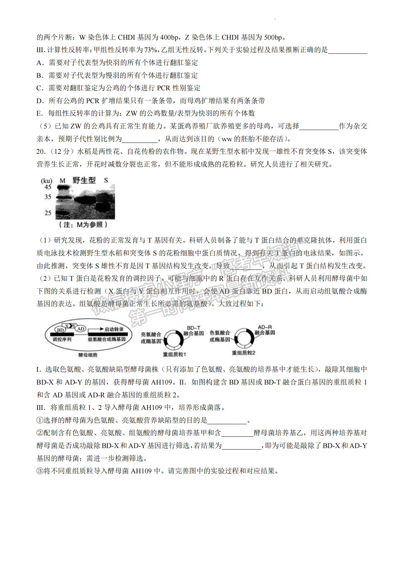 2024届龙岩5月质检（5月6日-8日）生物试卷及参考答案