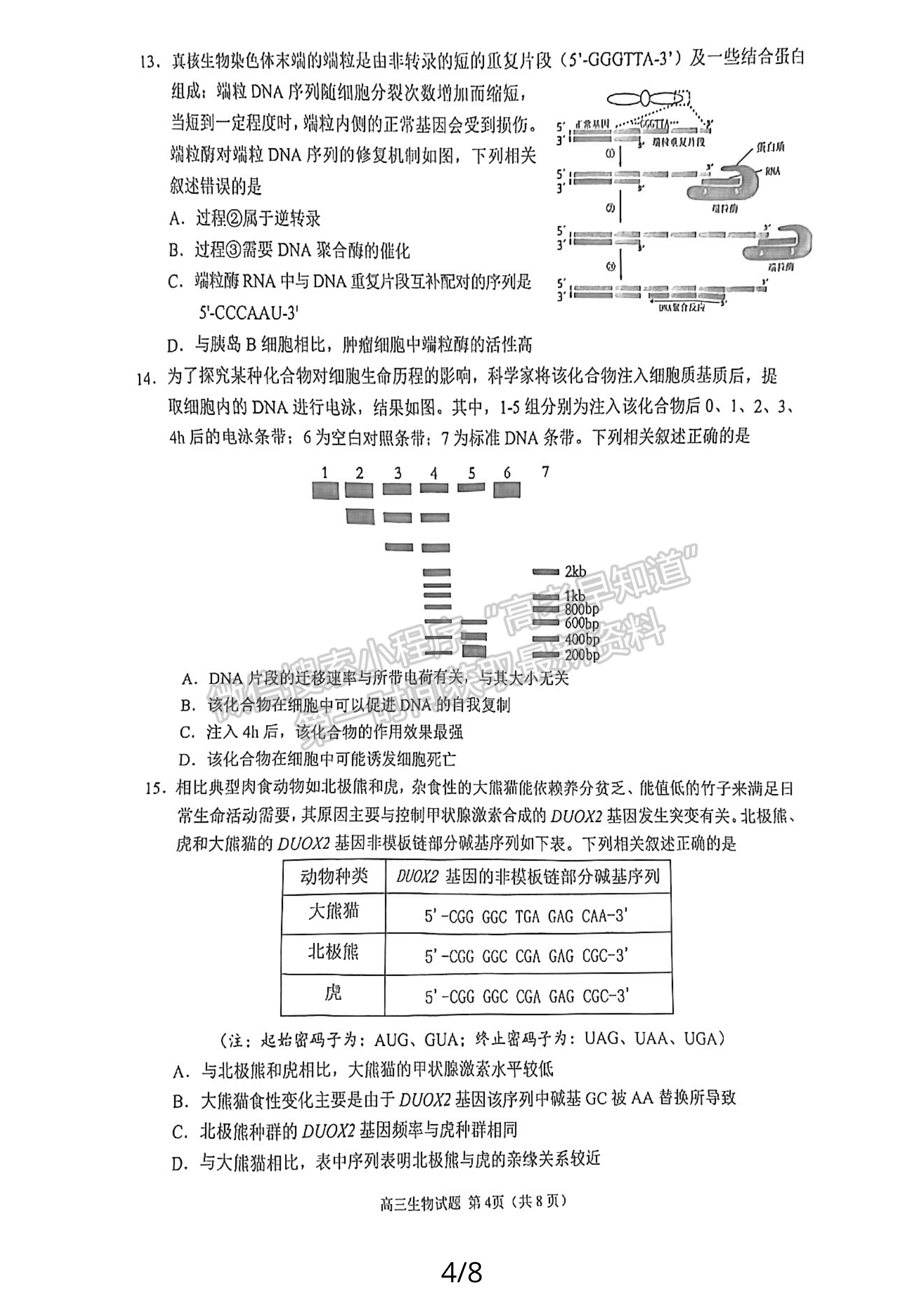 2024屆泉州5月質檢（5月6日-8日）生物試卷及參考答案