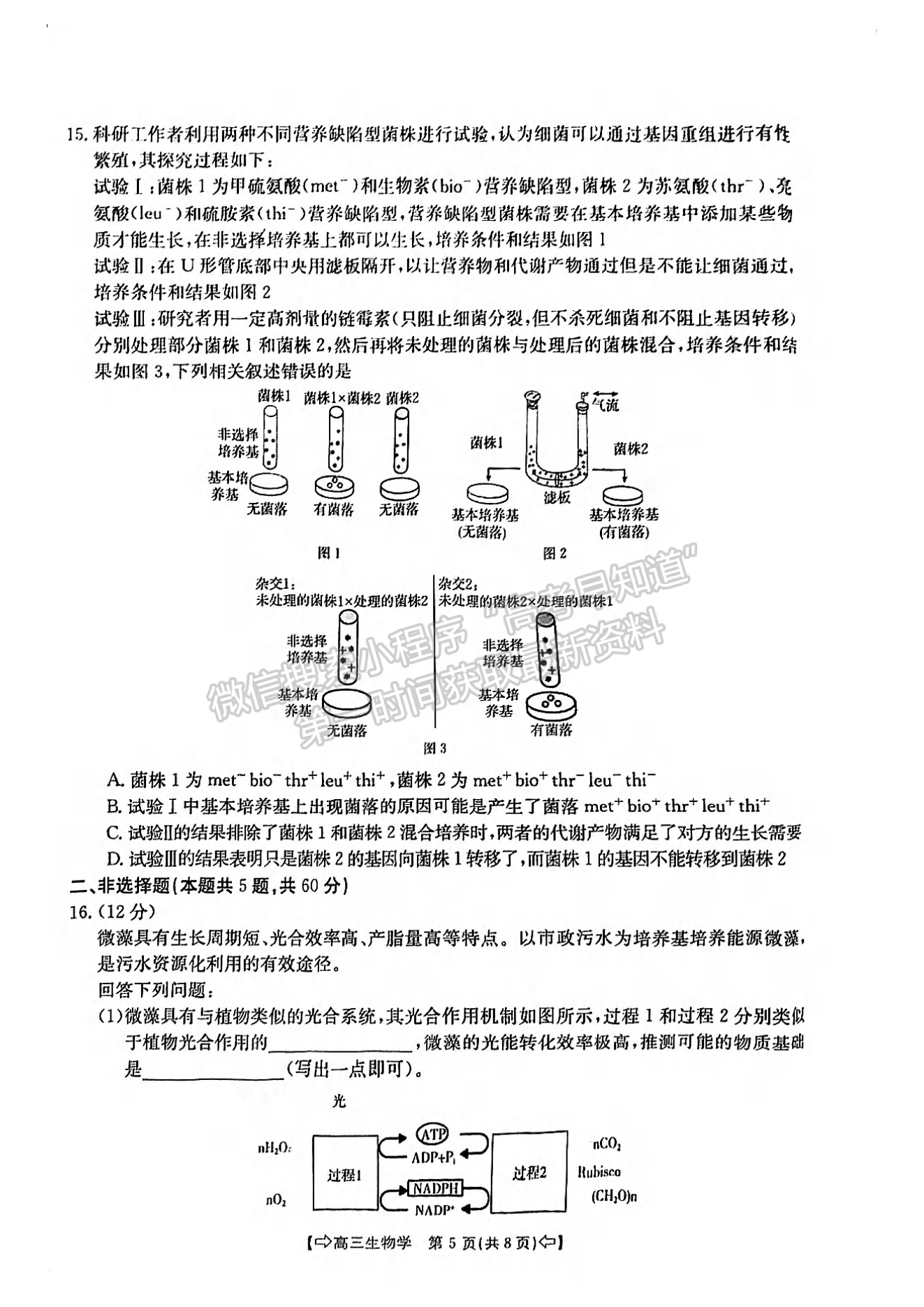 2024屆莆田5月質(zhì)檢（5月6日-8日）生物試卷及參考答案