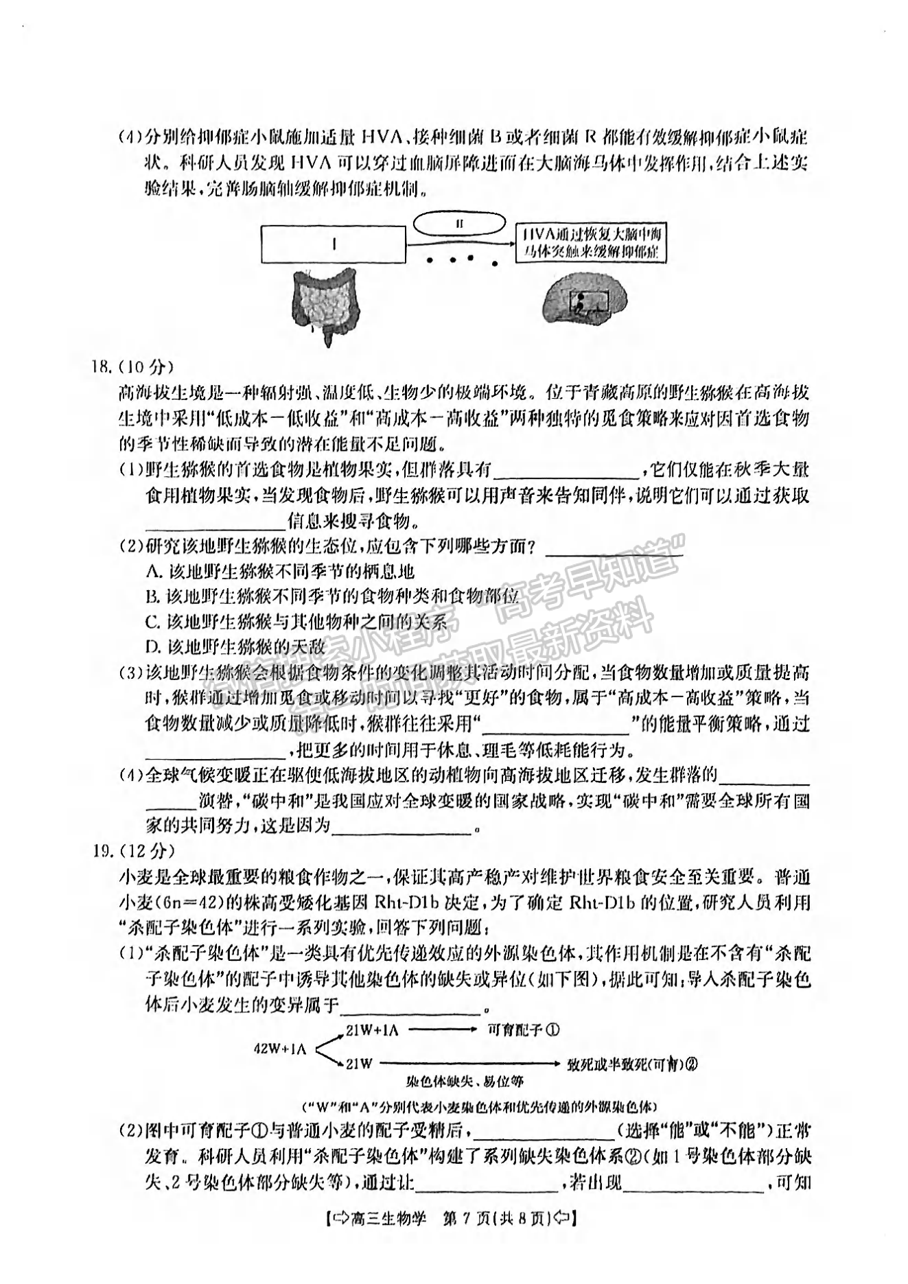 2024屆莆田5月質(zhì)檢（5月6日-8日）生物試卷及參考答案