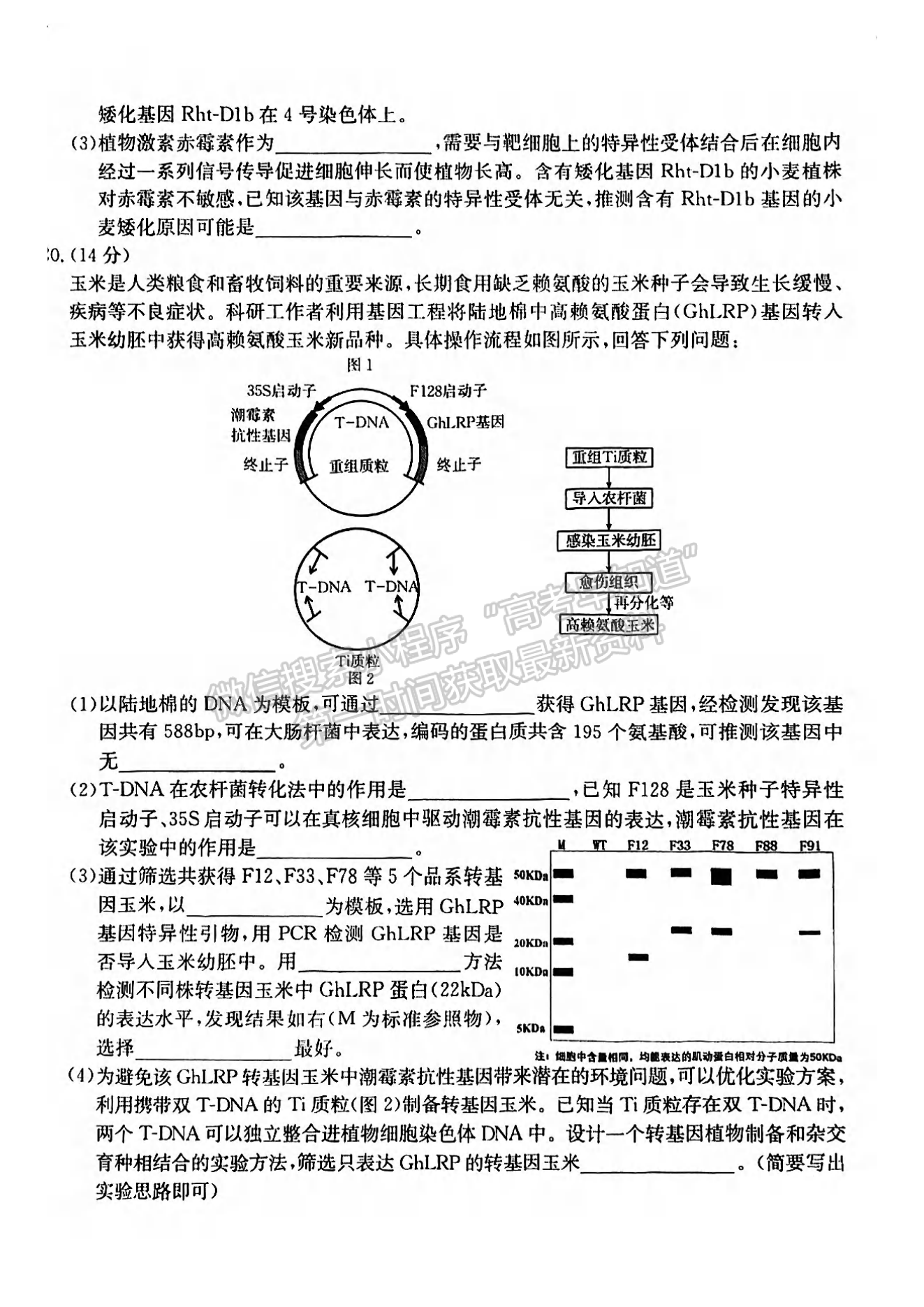 2024屆莆田5月質(zhì)檢（5月6日-8日）生物試卷及參考答案