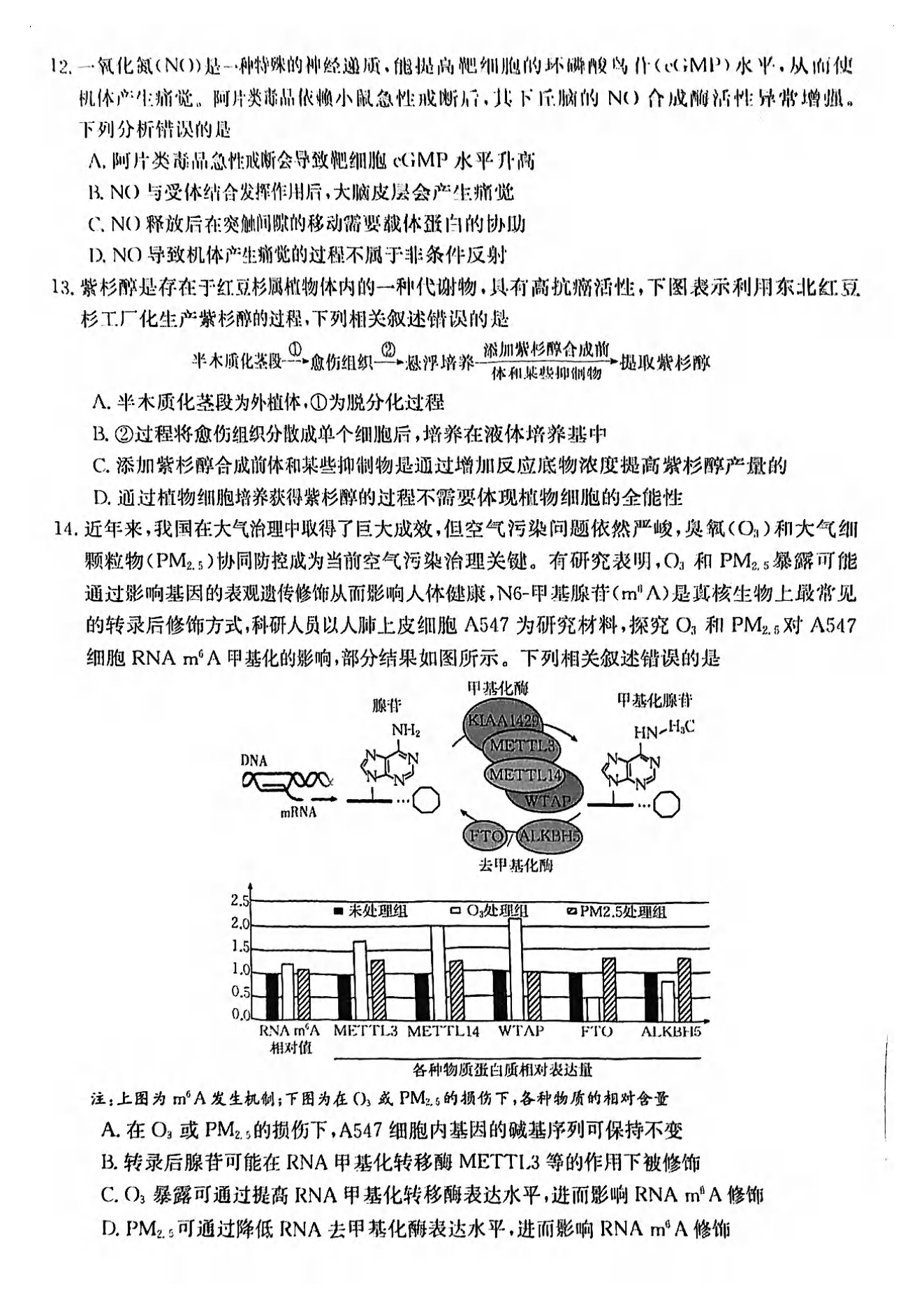 20245ʼ죨56-8գԾο