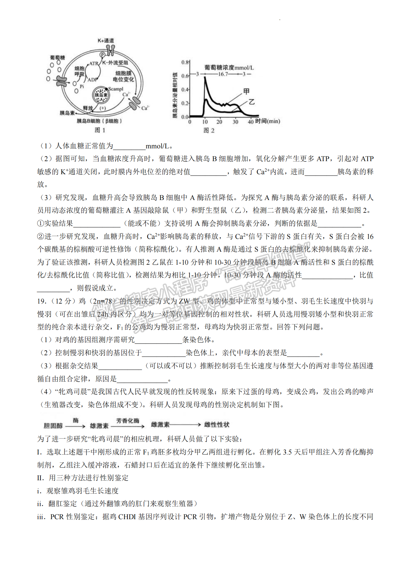 2024届龙岩5月质检（5月6日-8日）生物试卷及参考答案