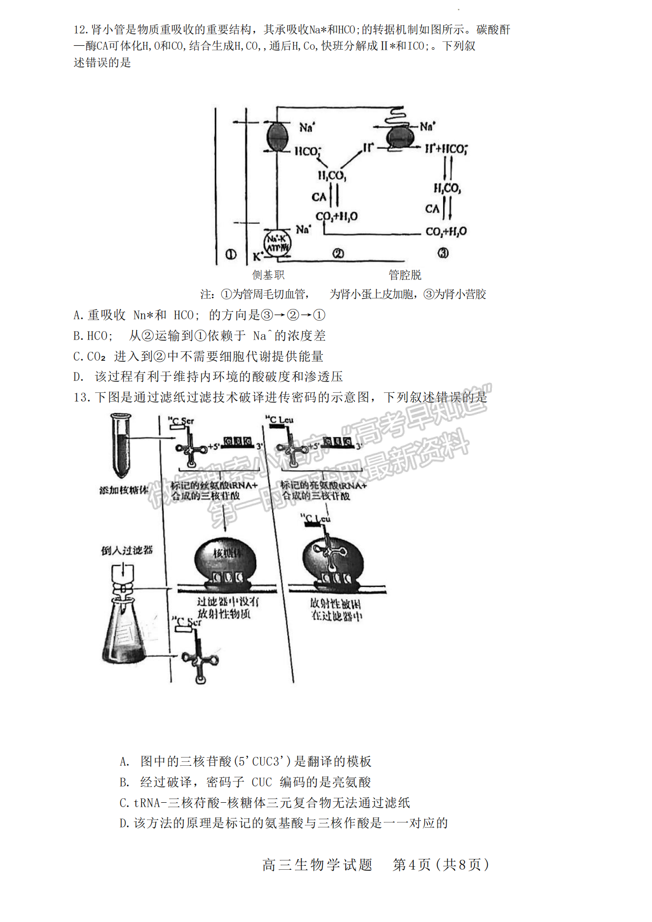 2024届厦门5月质检（5月7日-9日）生物试卷及参考答案