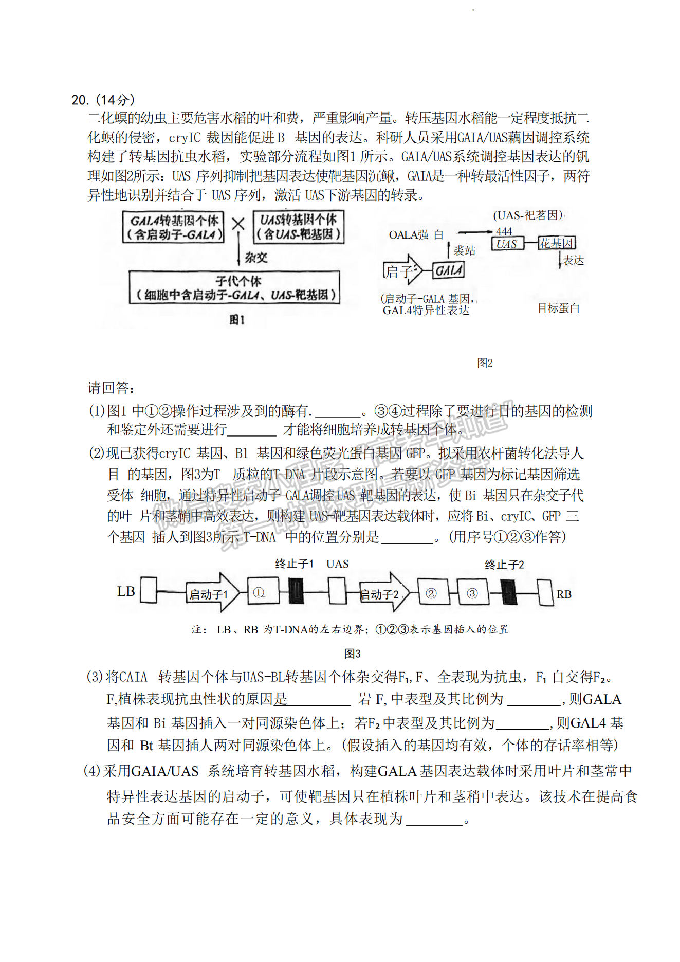 2024届厦门5月质检（5月7日-9日）生物试卷及参考答案