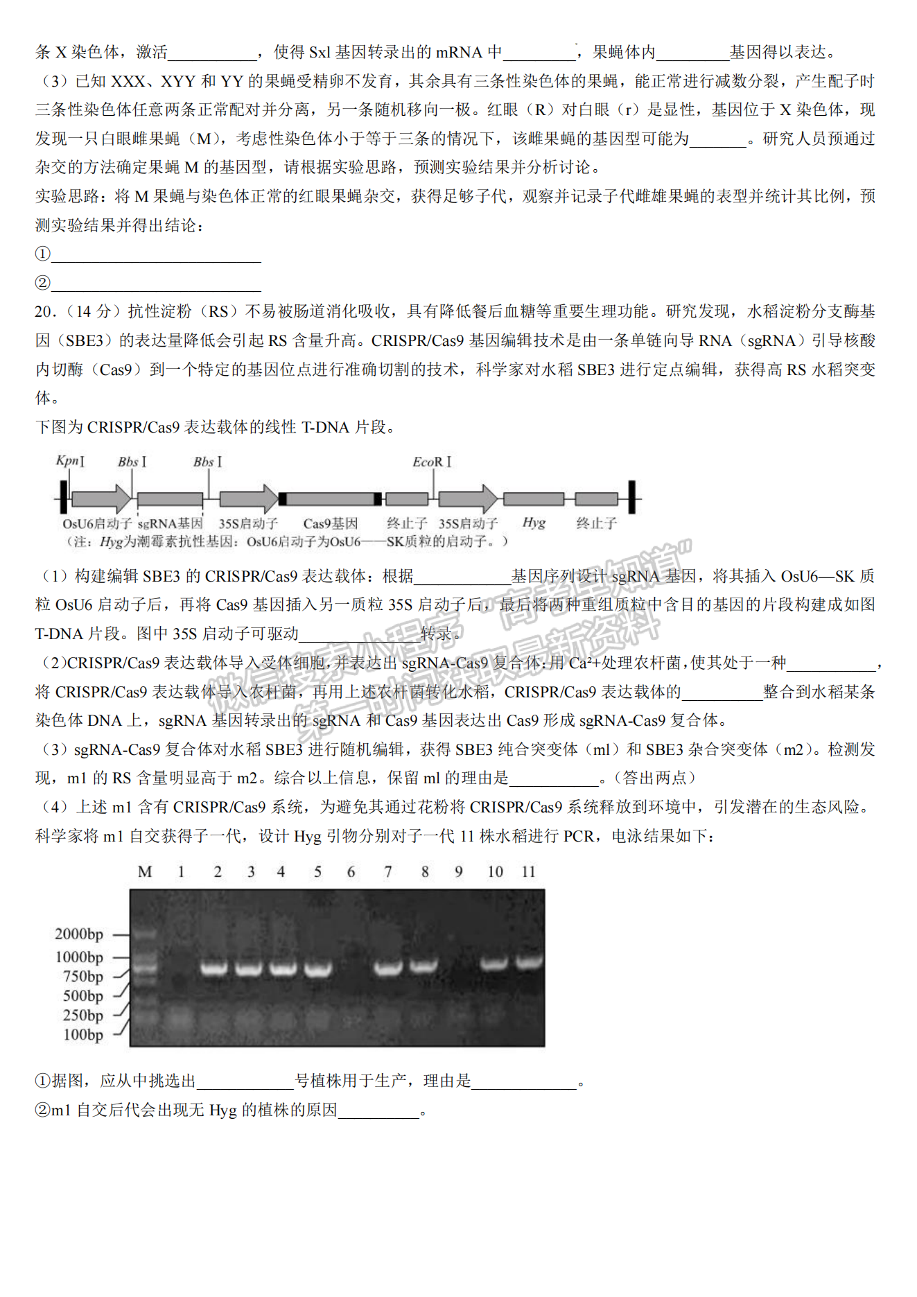 2024屆南平5月質(zhì)檢（5月7日-9日）生物試卷及參考答案