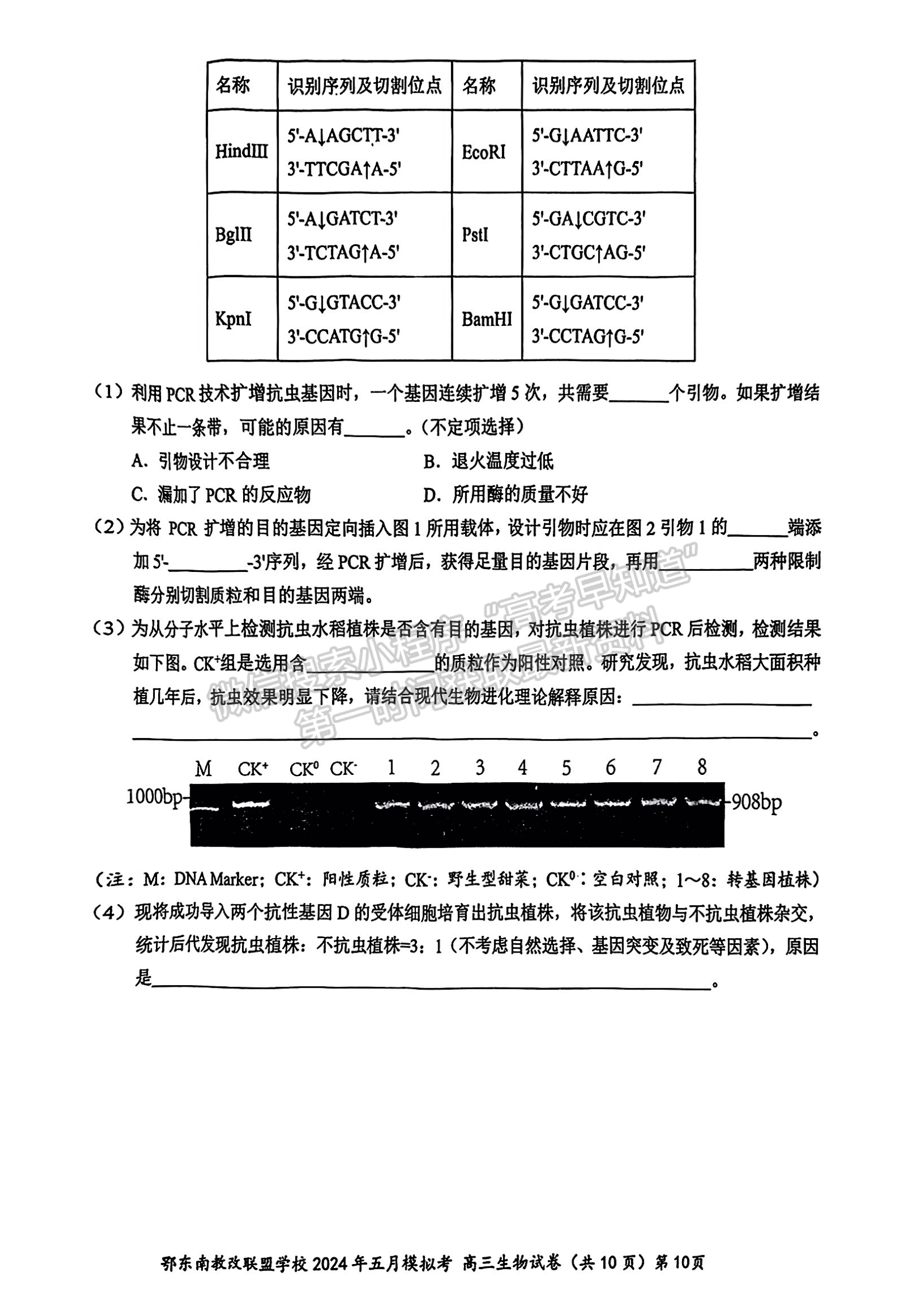 2024届湖北省鄂东南省级示范联盟学校高三5月联考生物试题及答案