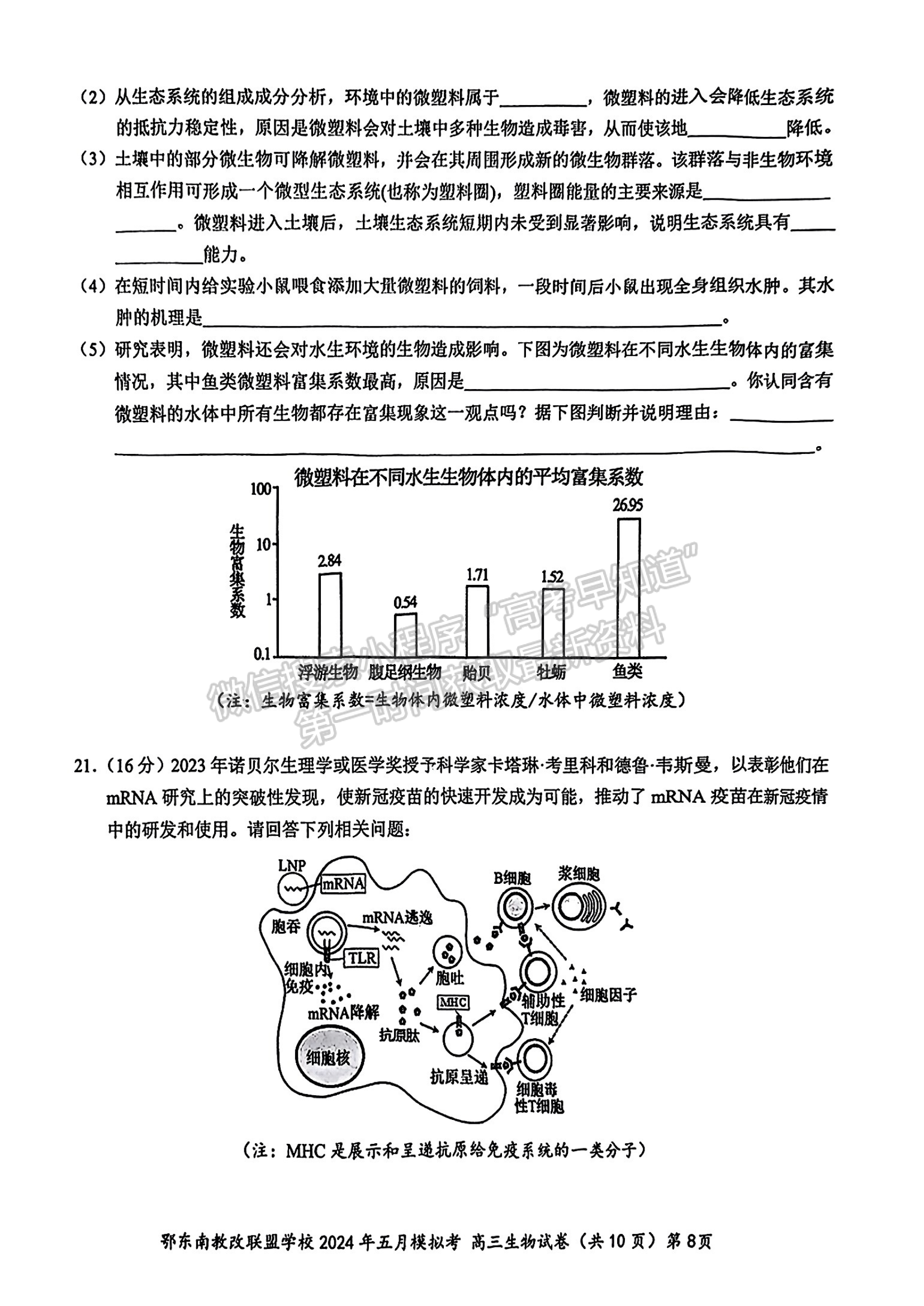 2024屆湖北省鄂東南省級(jí)示范聯(lián)盟學(xué)校高三5月聯(lián)考生物試題及答案