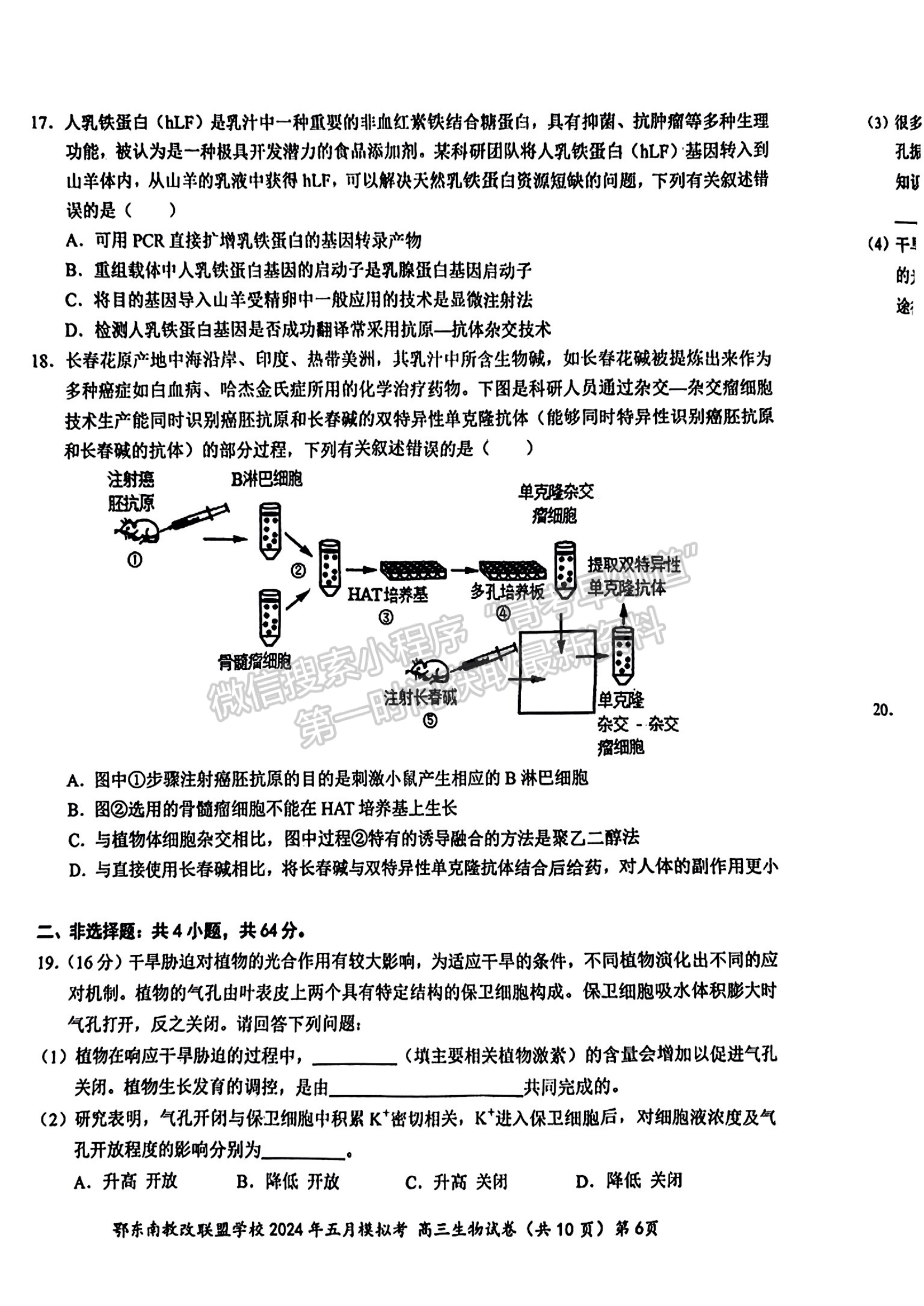 2024屆湖北省鄂東南省級(jí)示范聯(lián)盟學(xué)校高三5月聯(lián)考生物試題及答案