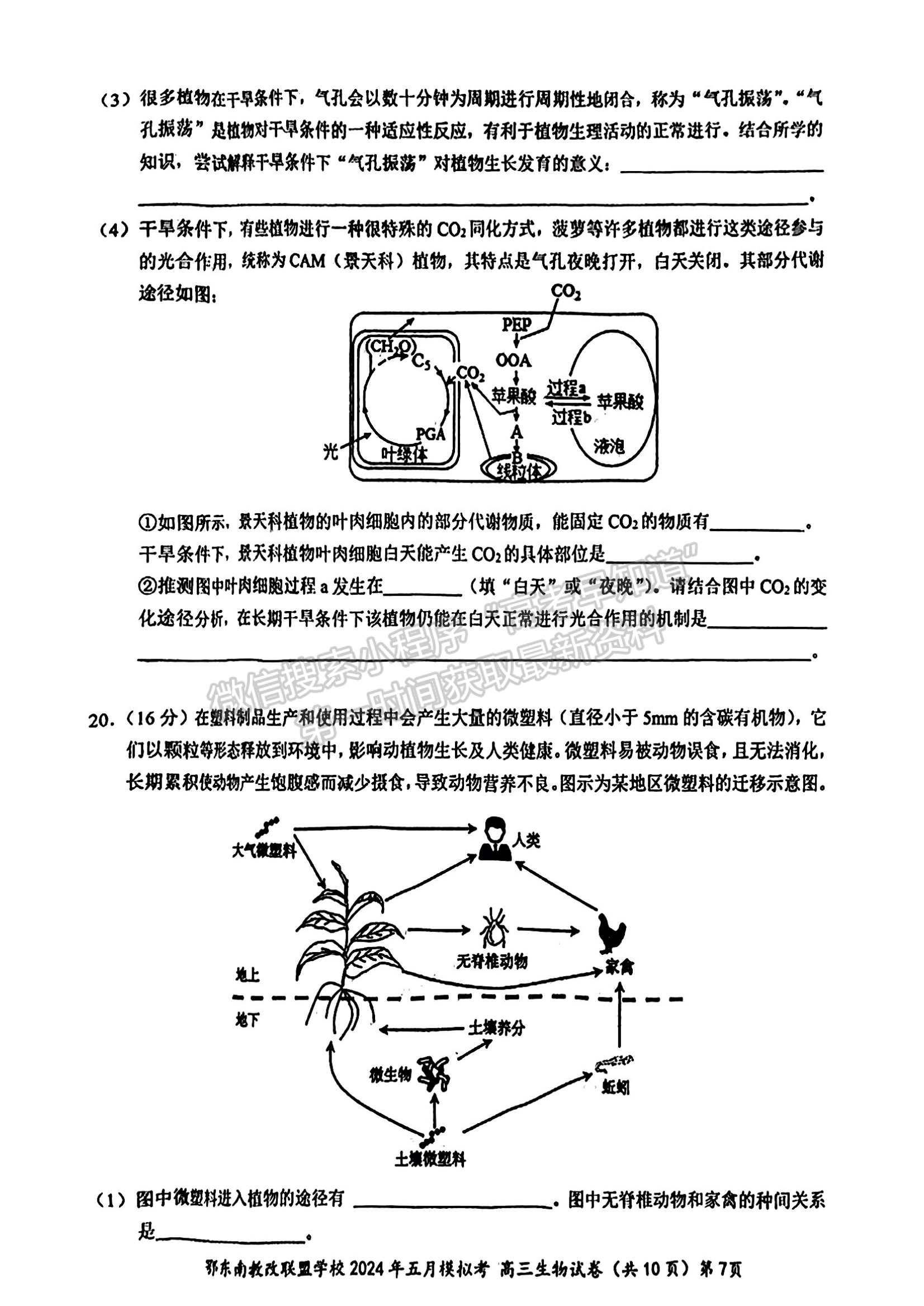 2024屆湖北省鄂東南省級(jí)示范聯(lián)盟學(xué)校高三5月聯(lián)考生物試題及答案