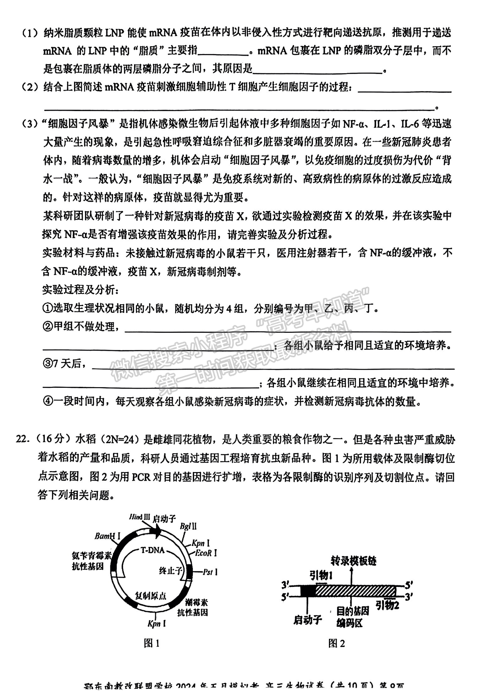 2024屆湖北省鄂東南省級(jí)示范聯(lián)盟學(xué)校高三5月聯(lián)考生物試題及答案