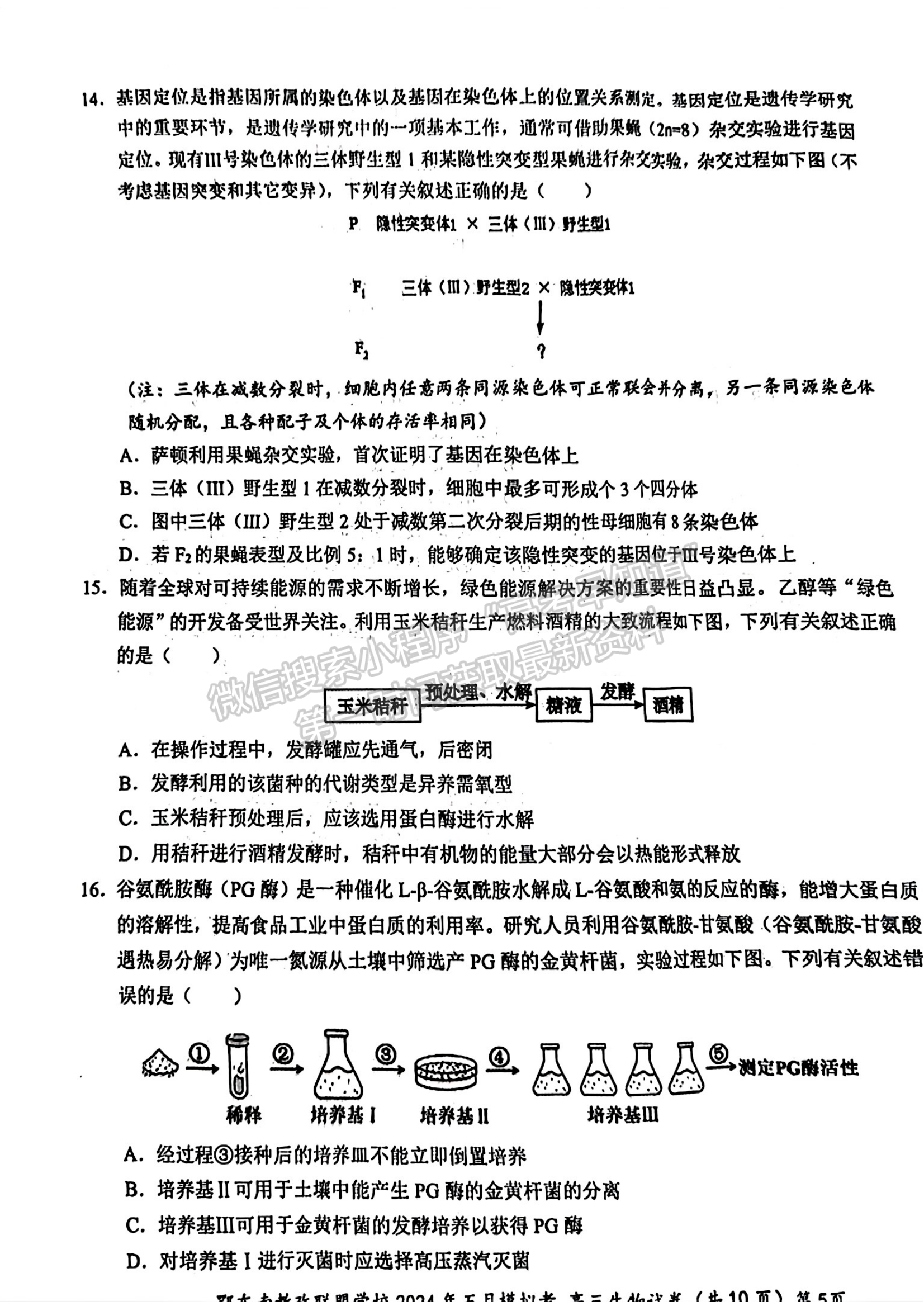 2024屆湖北省鄂東南省級(jí)示范聯(lián)盟學(xué)校高三5月聯(lián)考生物試題及答案