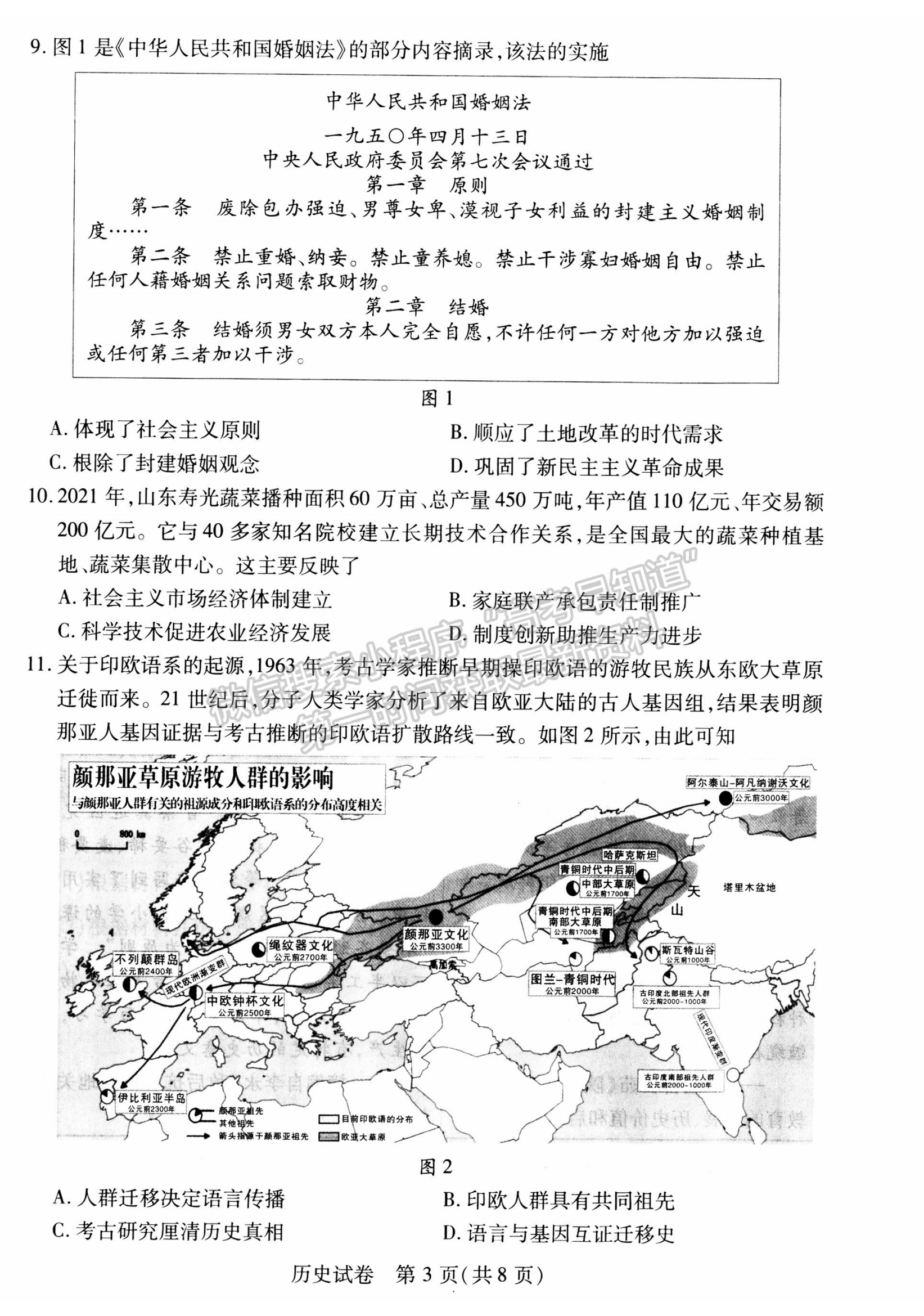 2024届湖北省武汉市高三5月模拟训练历史试题及答案