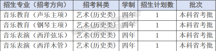 四川音樂學(xué)院2024年福建招生計劃