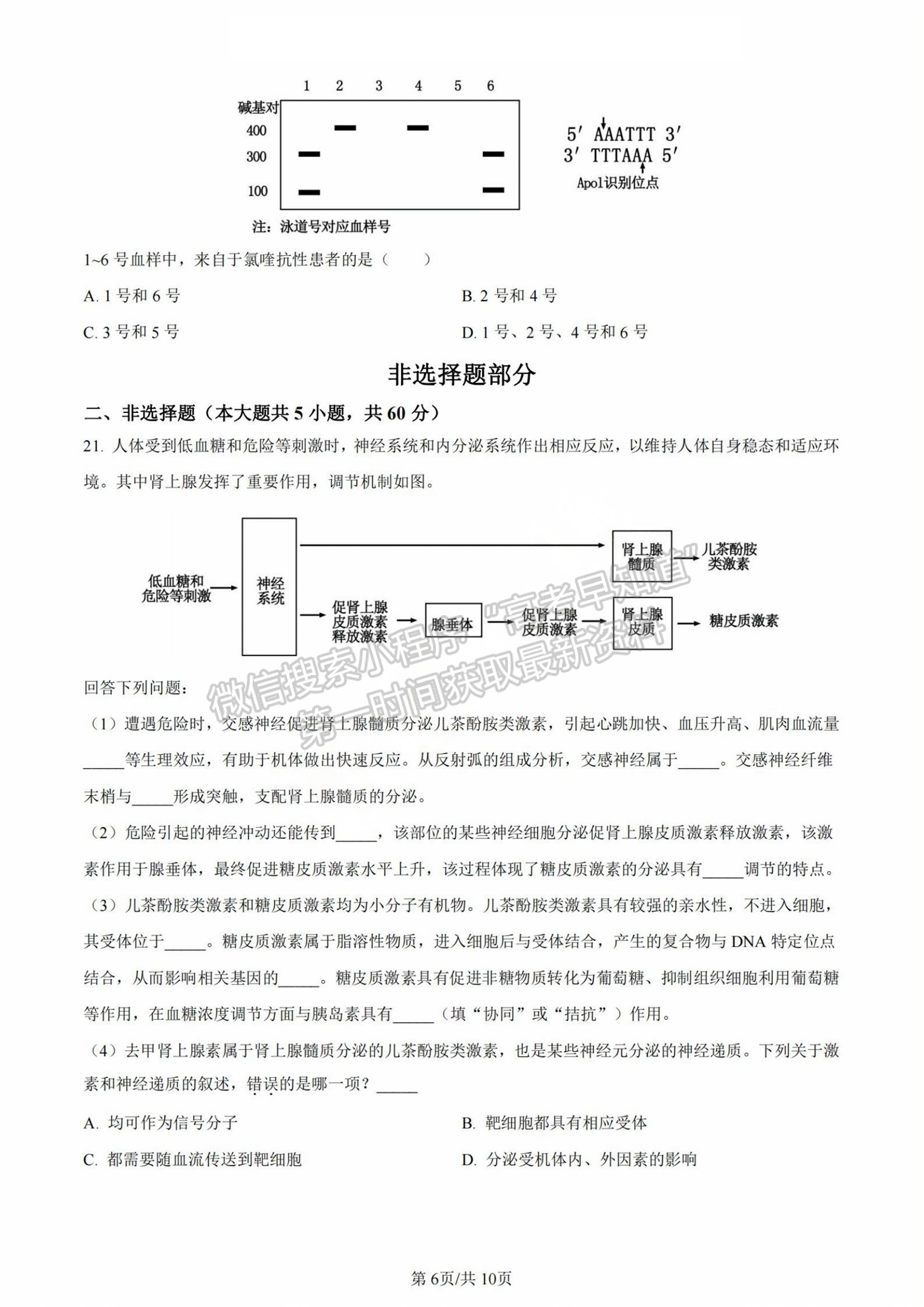 2024年新高考浙江選考生物試題及答案