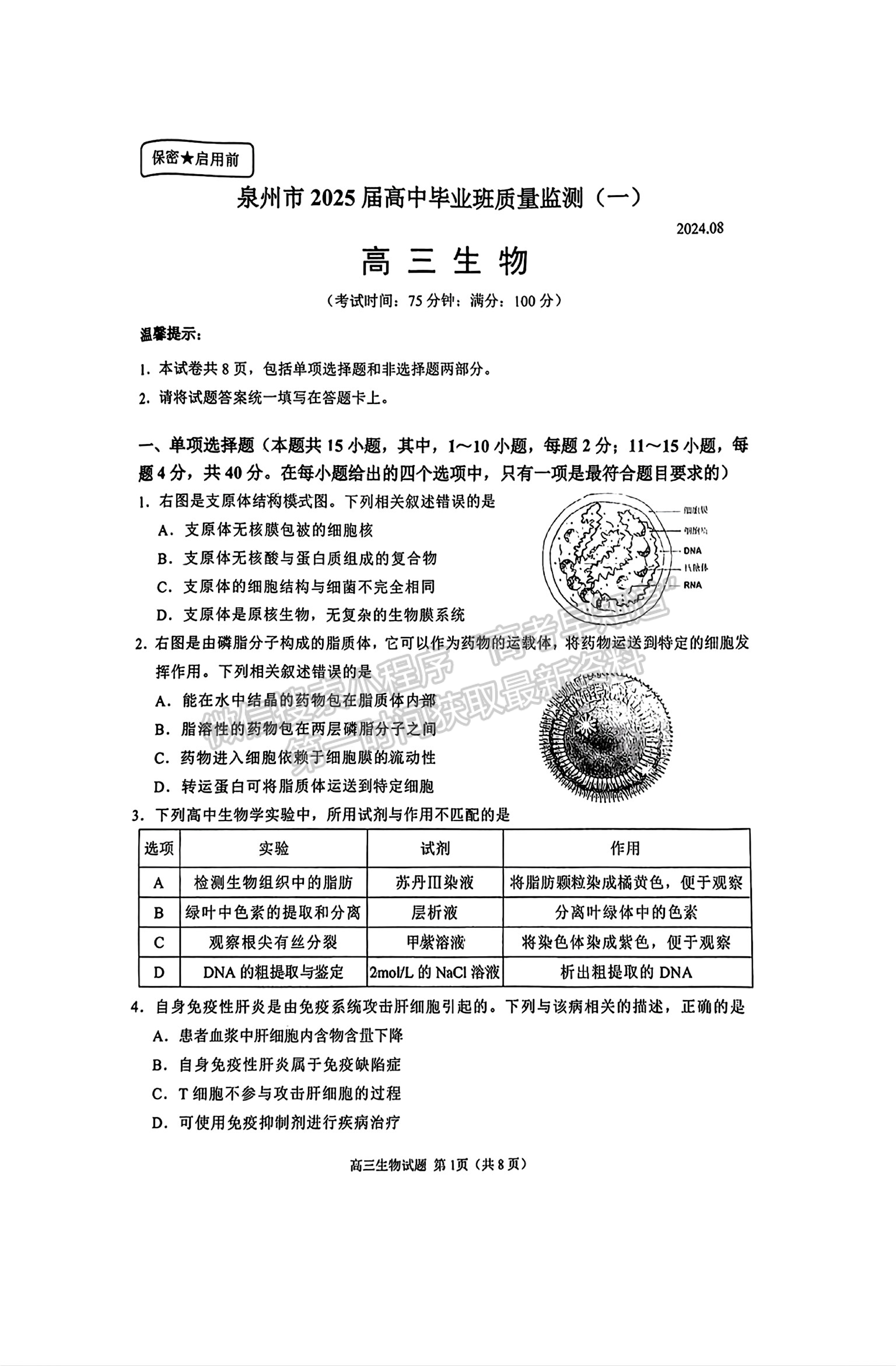 2025屆泉州一檢（8月28日-30日）生物試卷及參考答案