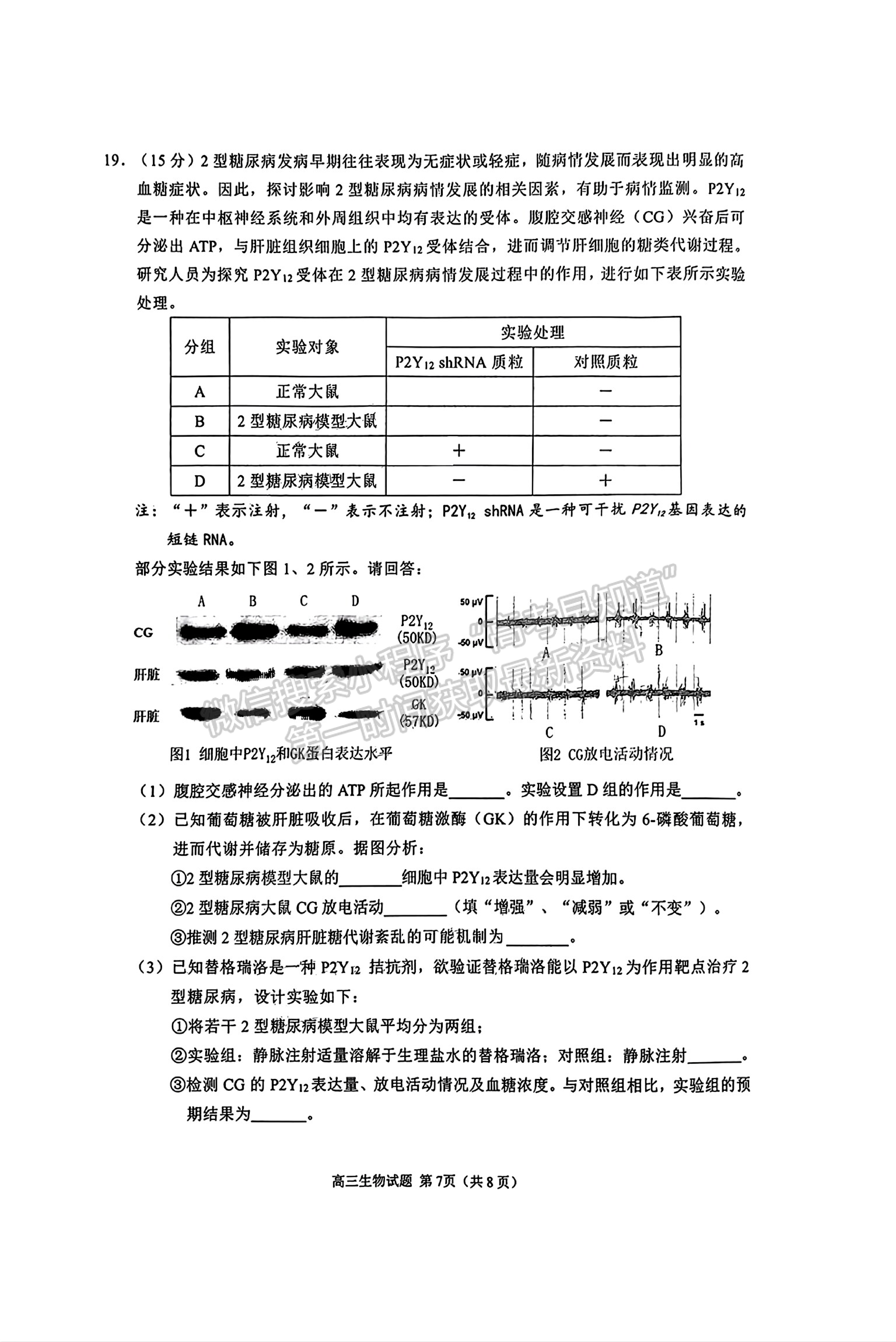 2025屆泉州一檢（8月28日-30日）生物試卷及參考答案