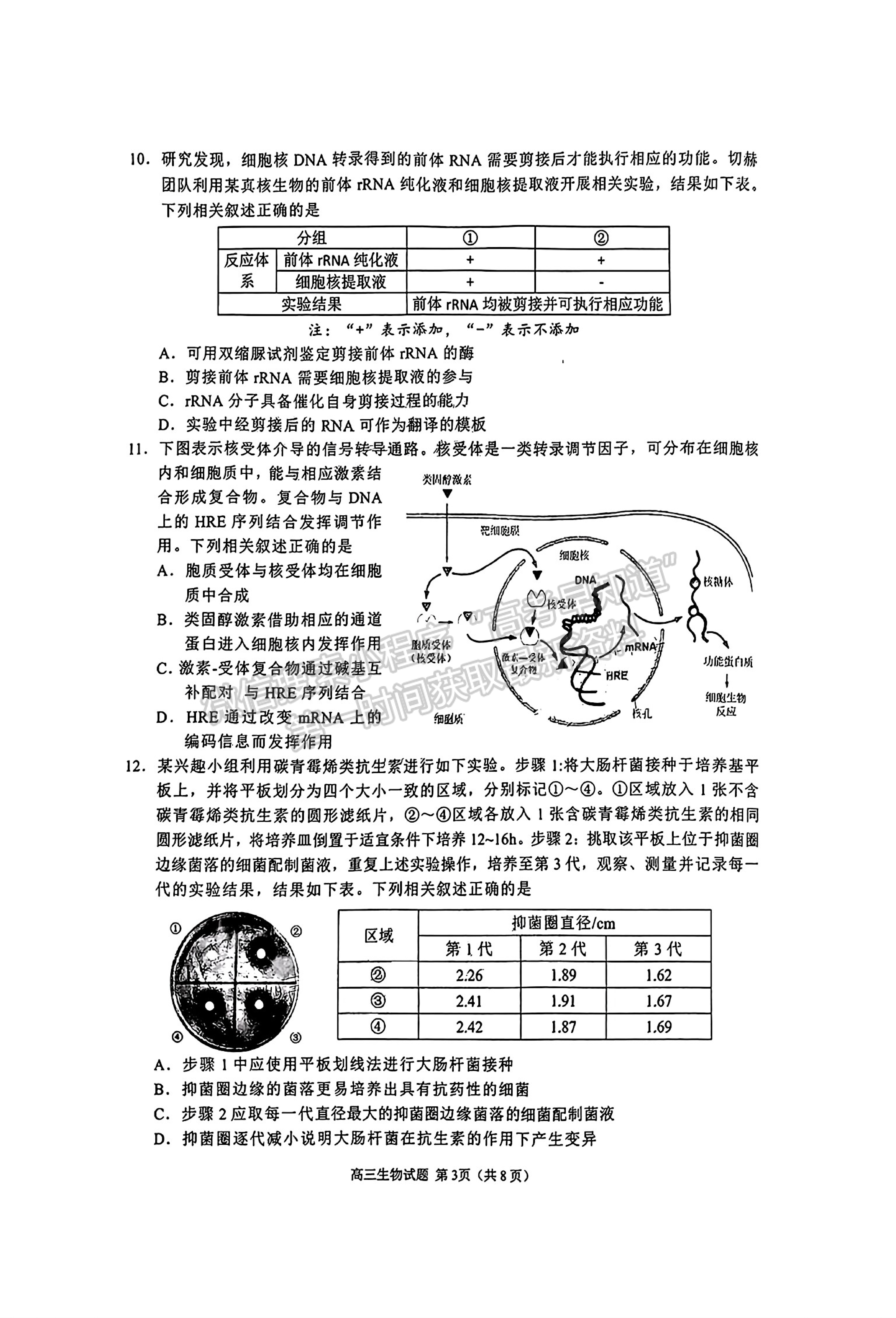 2025屆泉州一檢（8月28日-30日）生物試卷及參考答案