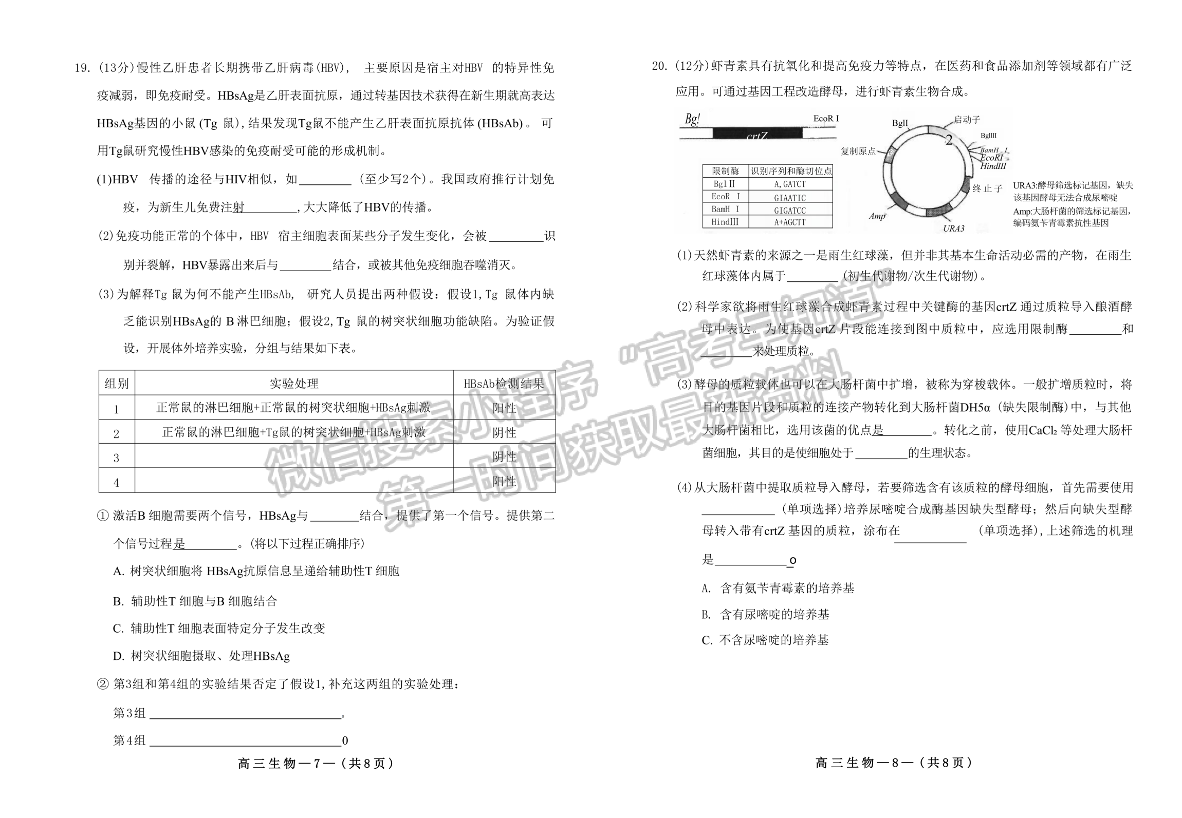 2025屆福州一檢（8月28日-30日）生物試卷及答案