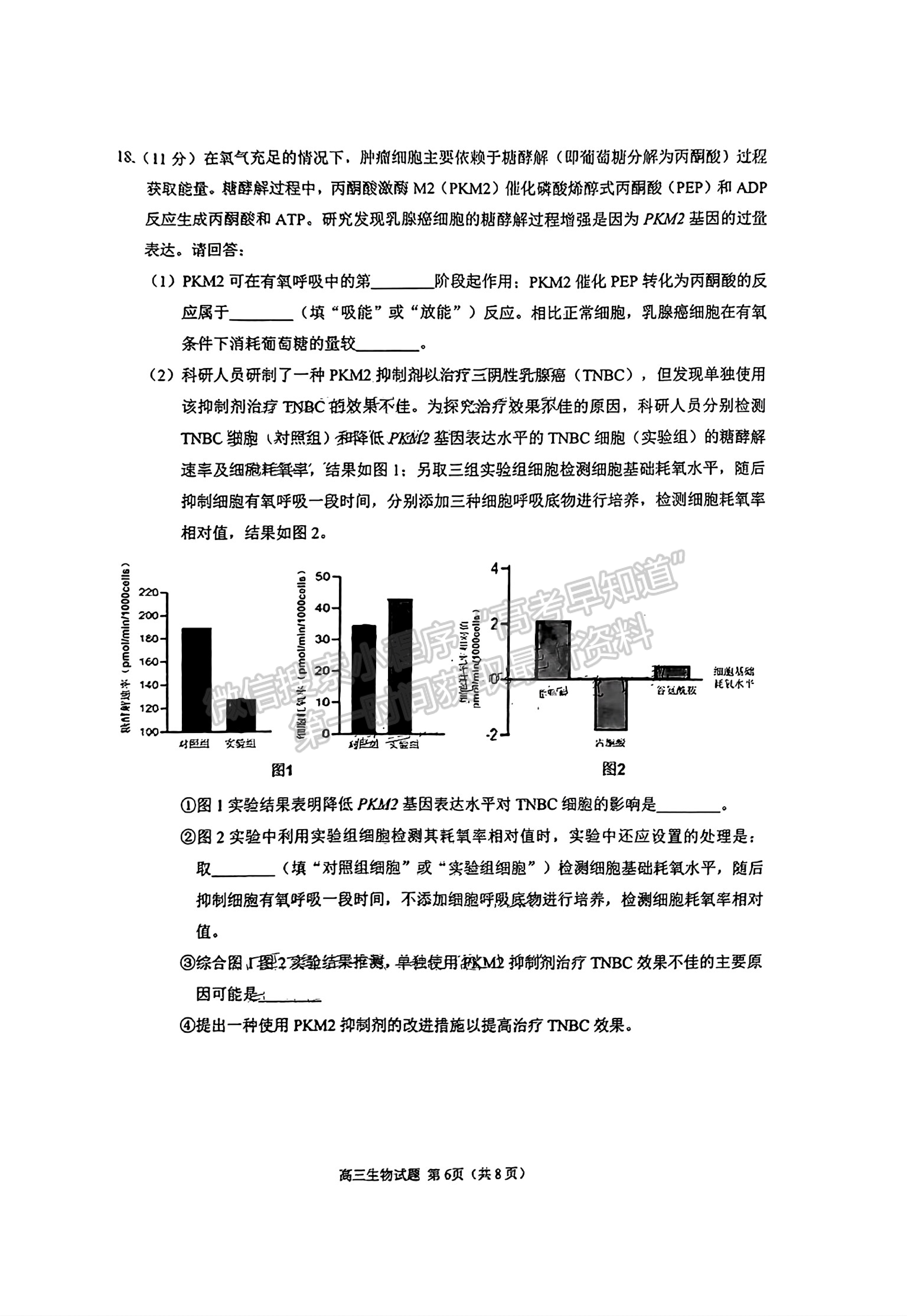 2025屆泉州一檢（8月28日-30日）生物試卷及參考答案