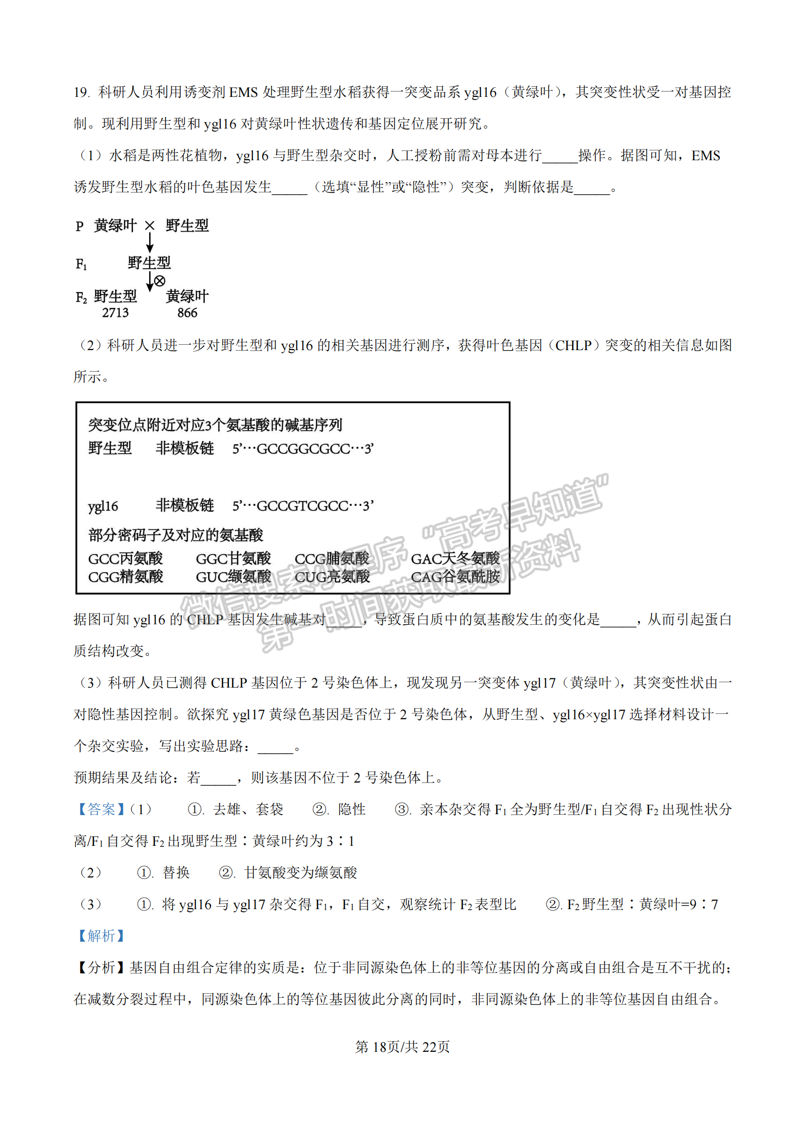 2025屆漳州一檢（9月13日-14日）生物試卷及答案