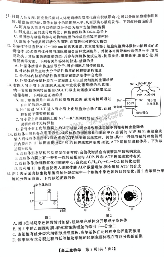 福建省百校聯(lián)考2024-2025學(xué)年高三上學(xué)期生物試卷及參考答案