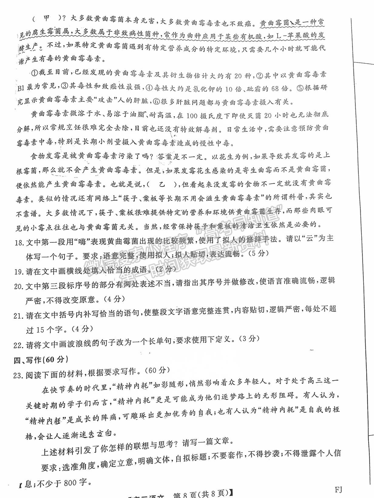 福建省百校聯(lián)考2024-2025學年高三上學期語文試卷及參考答案