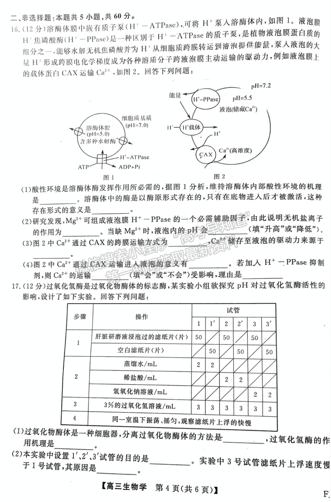 福建省百校聯(lián)考2024-2025學(xué)年高三上學(xué)期生物試卷及參考答案