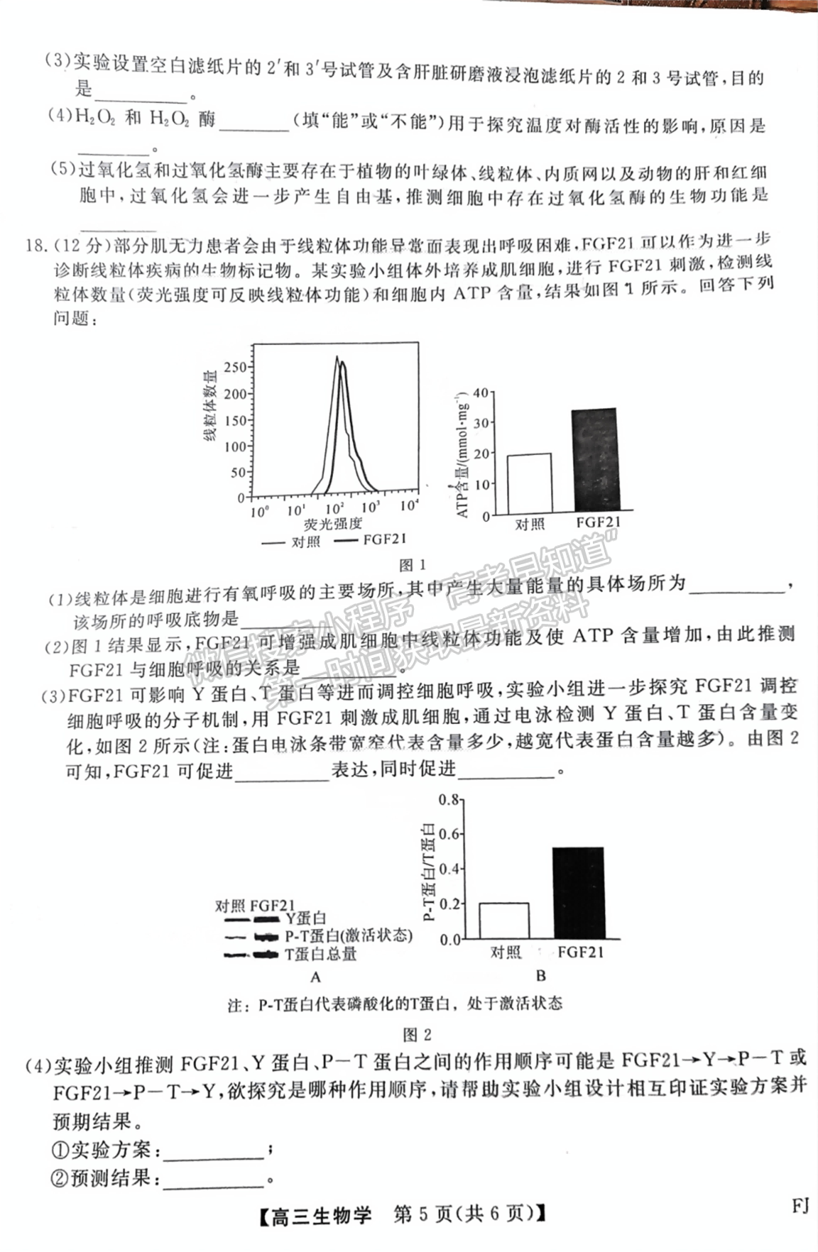 福建省百校联考2024-2025学年高三上学期生物试卷及参考答案