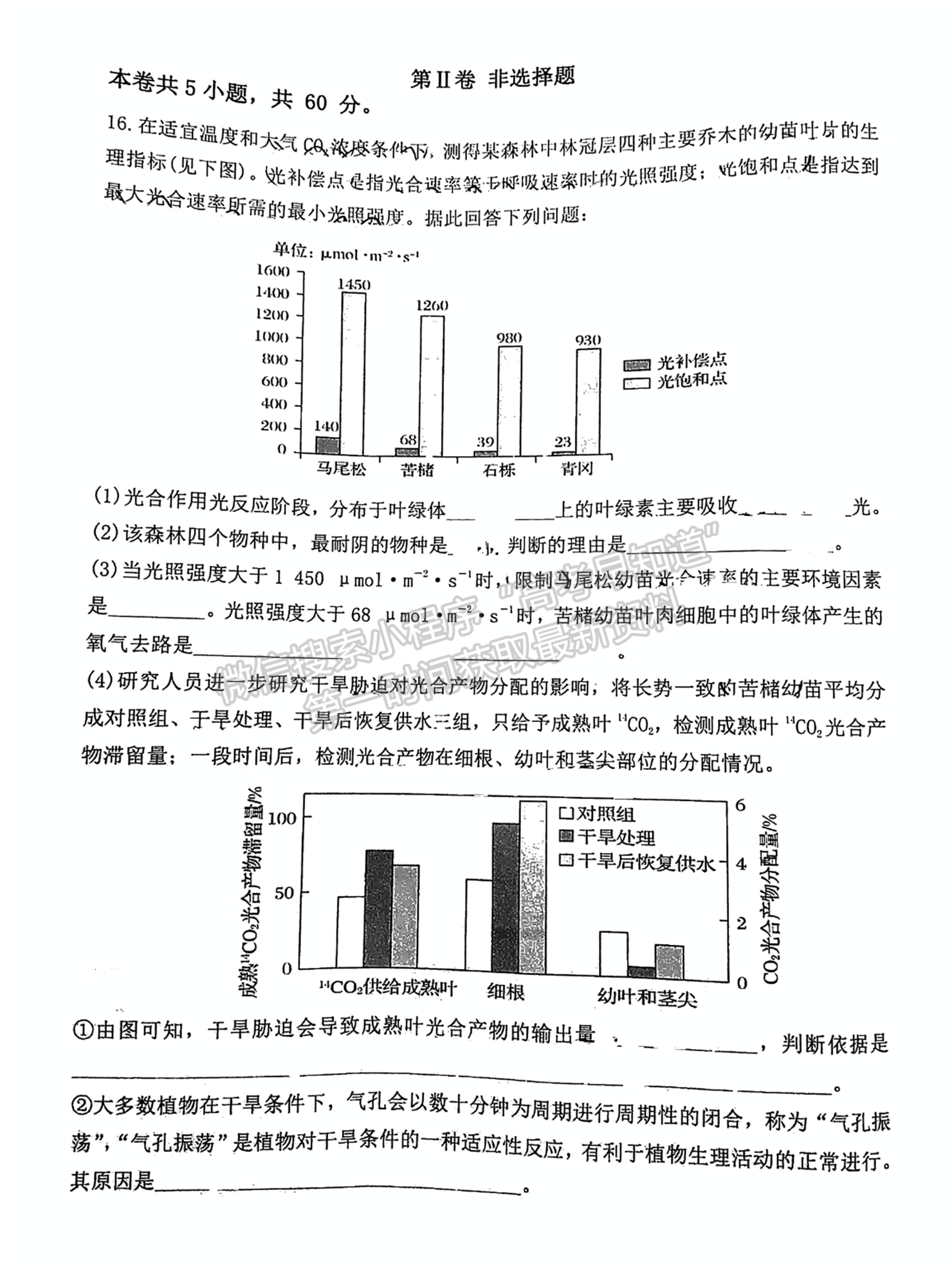 寧德市2024-2025學(xué)年高三第一學(xué)期半期考試五校聯(lián)考生物試卷及答案