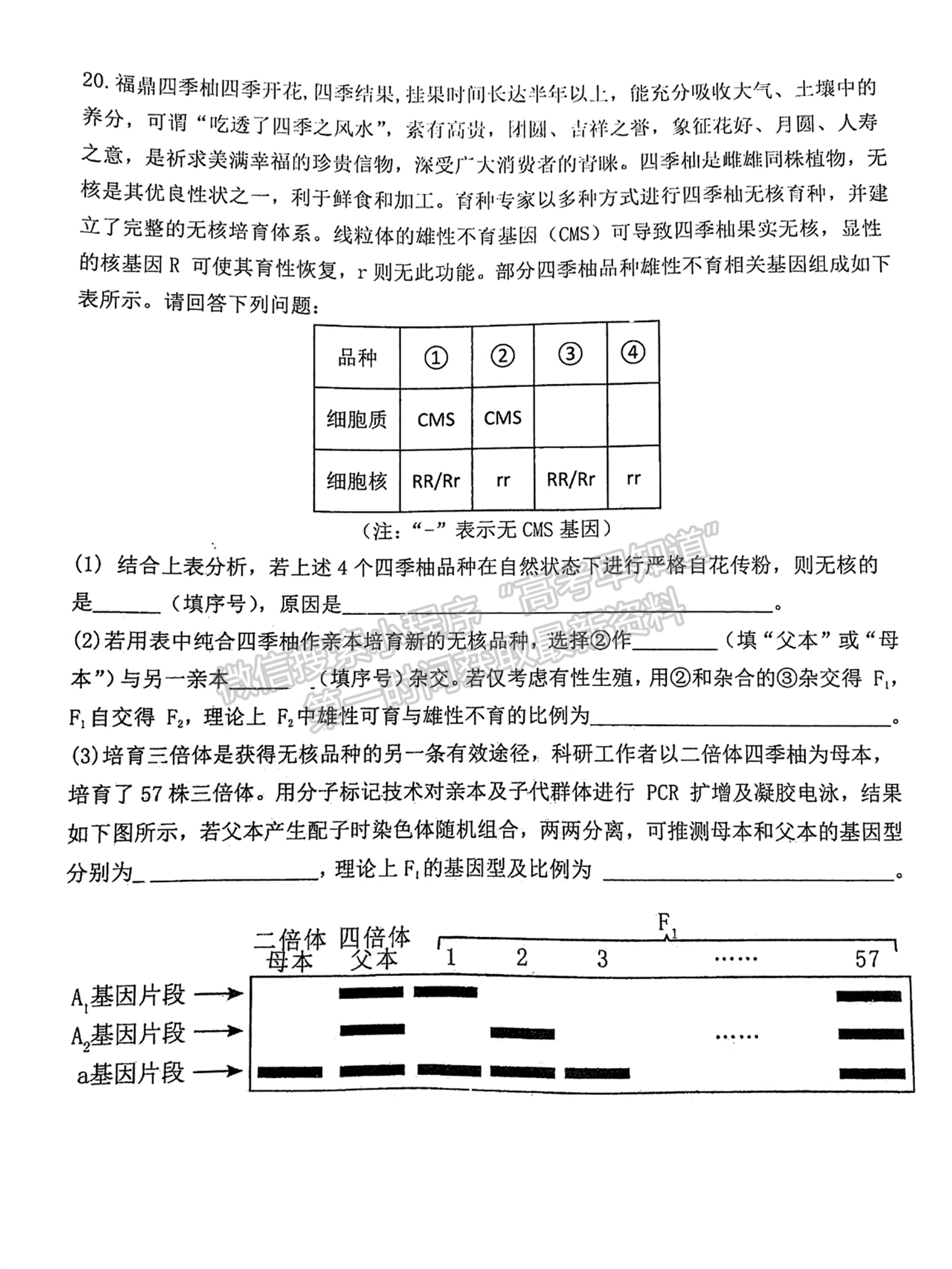 宁德市2024-2025学年高三第一学期半期考试五校联考生物试卷及答案