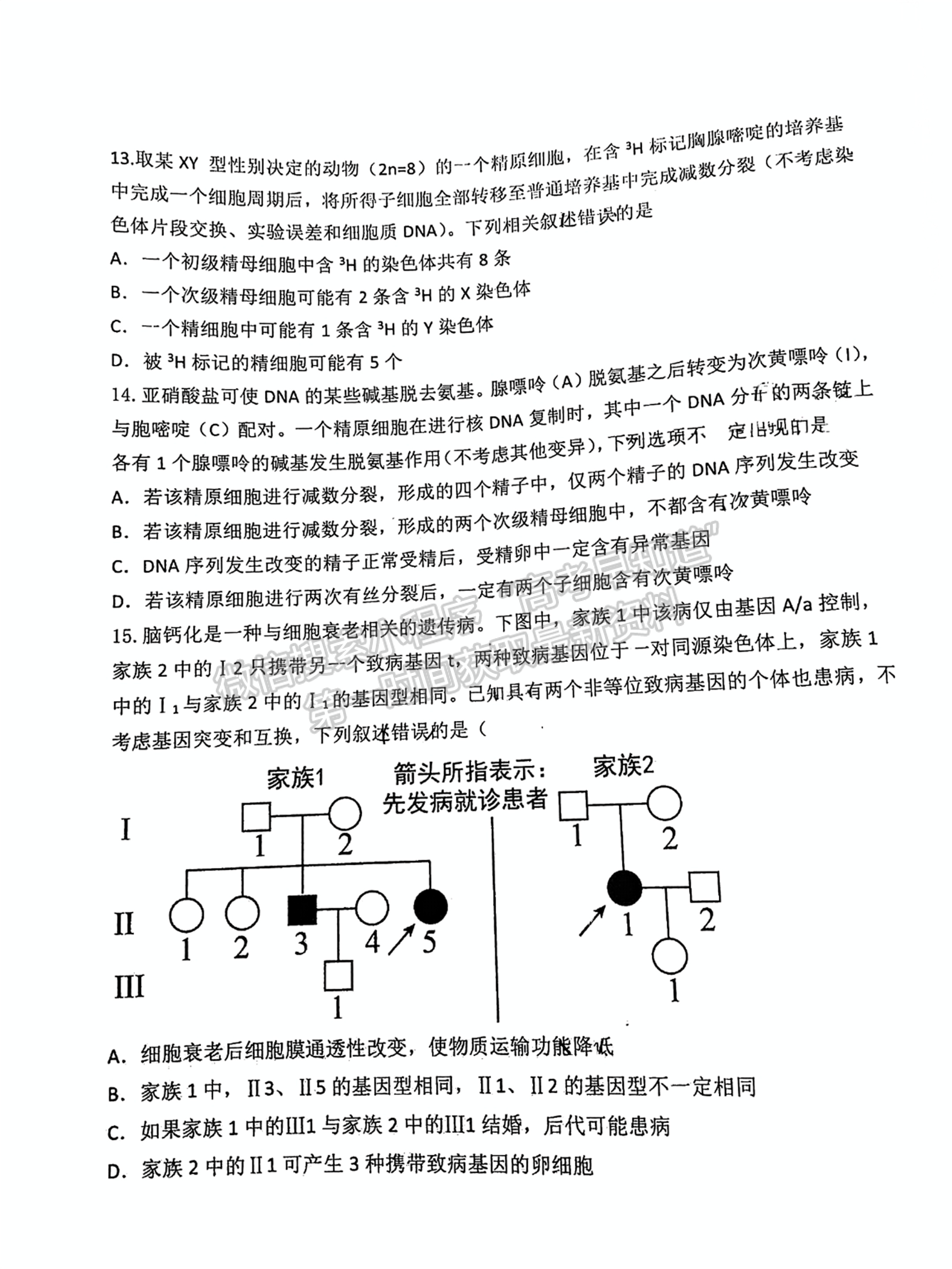 寧德市2024-2025學(xué)年高三第一學(xué)期半期考試五校聯(lián)考生物試卷及答案