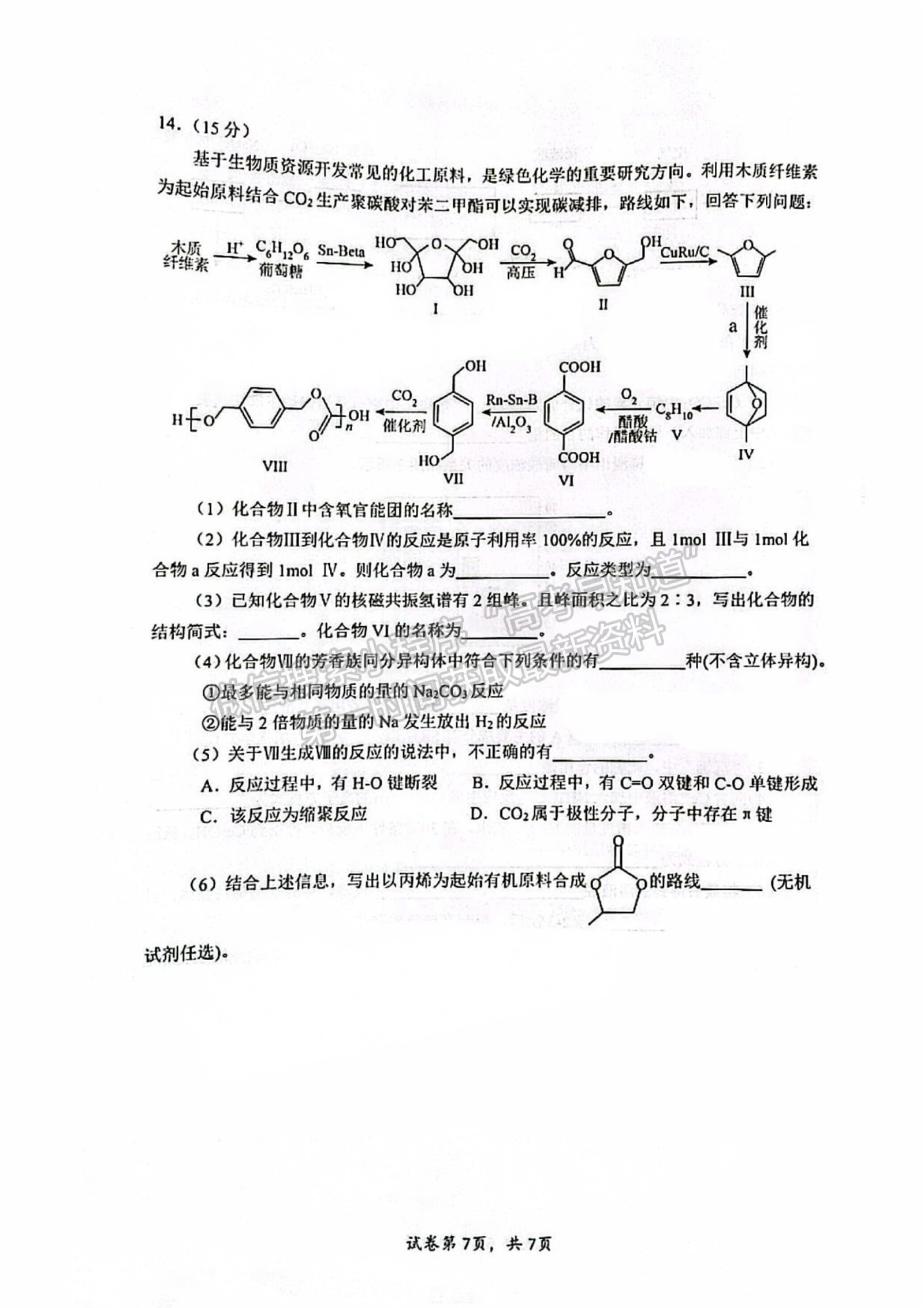 宁德市2024-2025学年高三第一学期半期考试五校联考化学试卷及答案