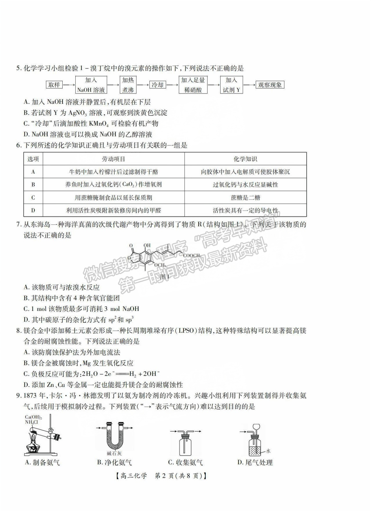 2025届湛江高三10月调研考化学试题及参考答案