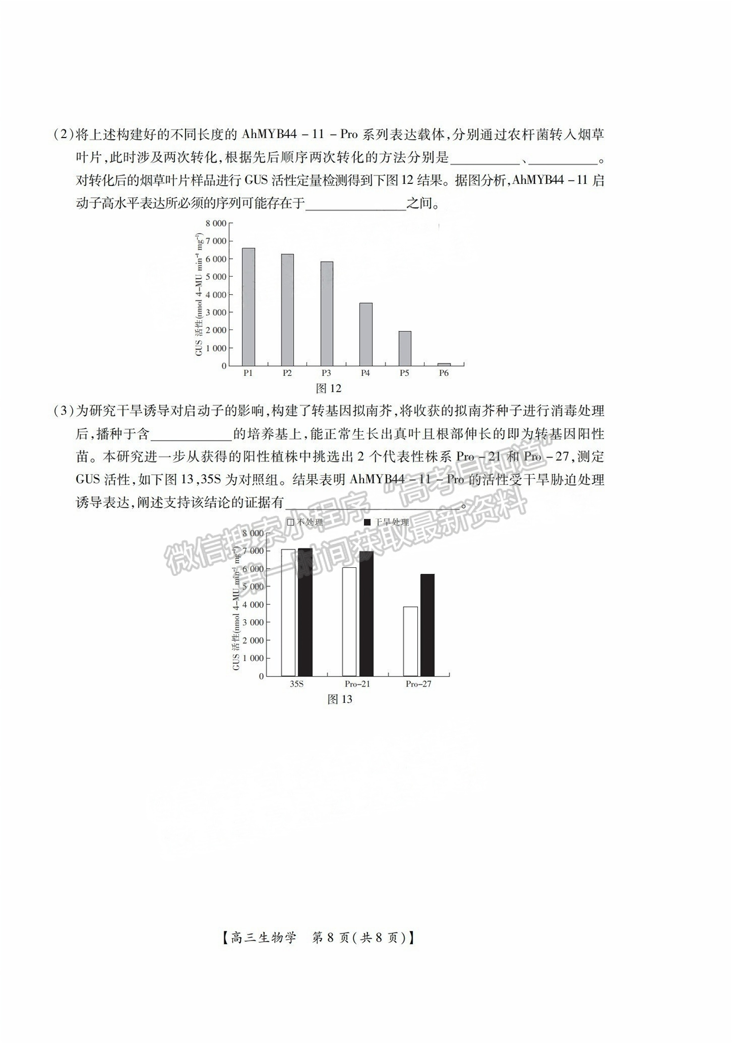 2025屆湛江高三10月調(diào)研考生物試題及參考答案