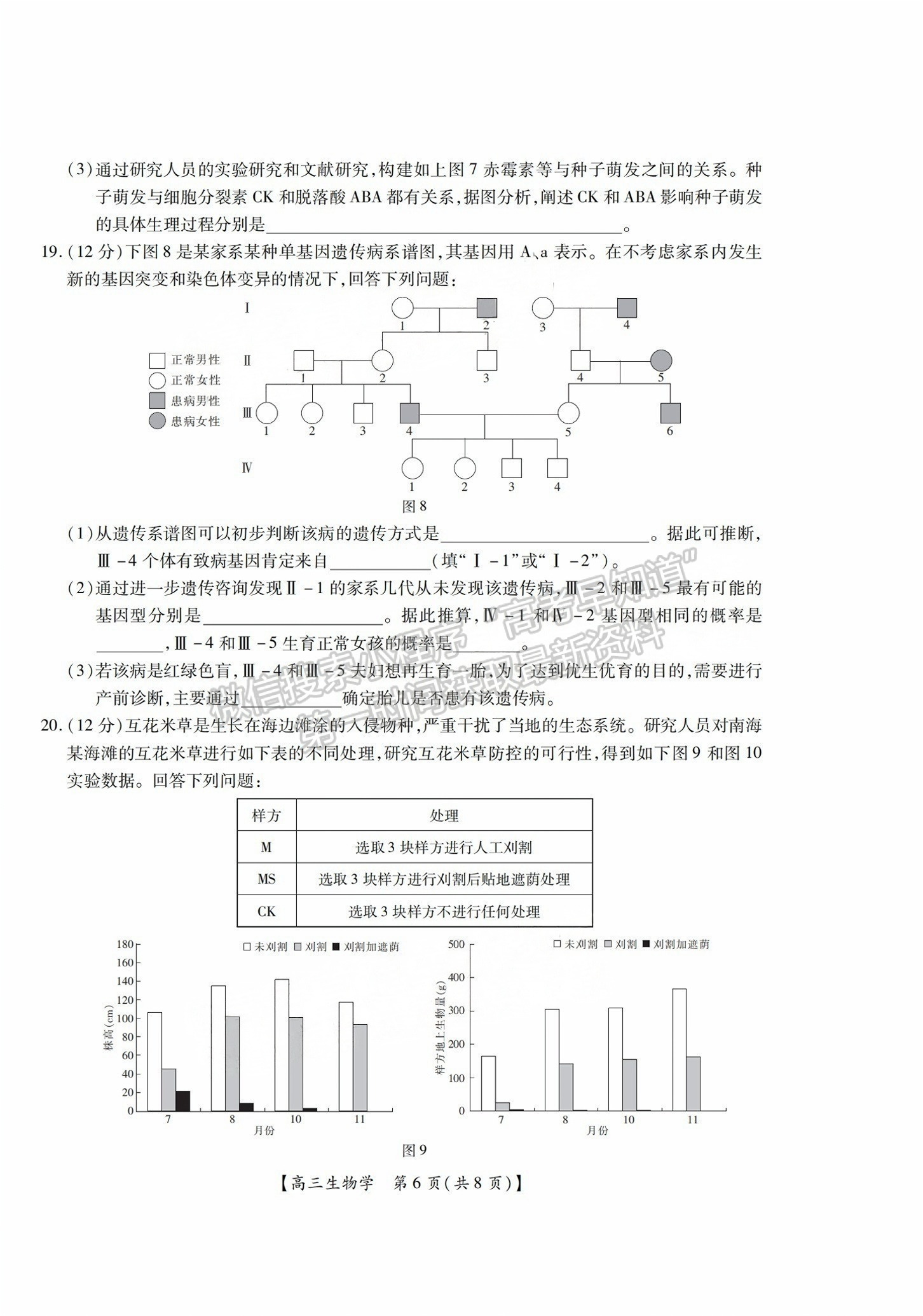 2025屆湛江高三10月調(diào)研考生物試題及參考答案