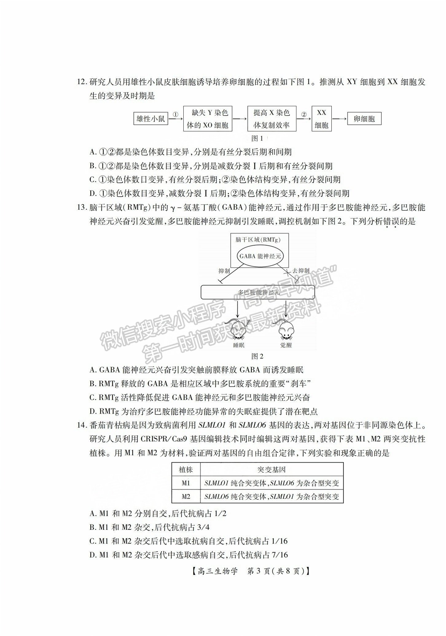 2025屆湛江高三10月調(diào)研考生物試題及參考答案