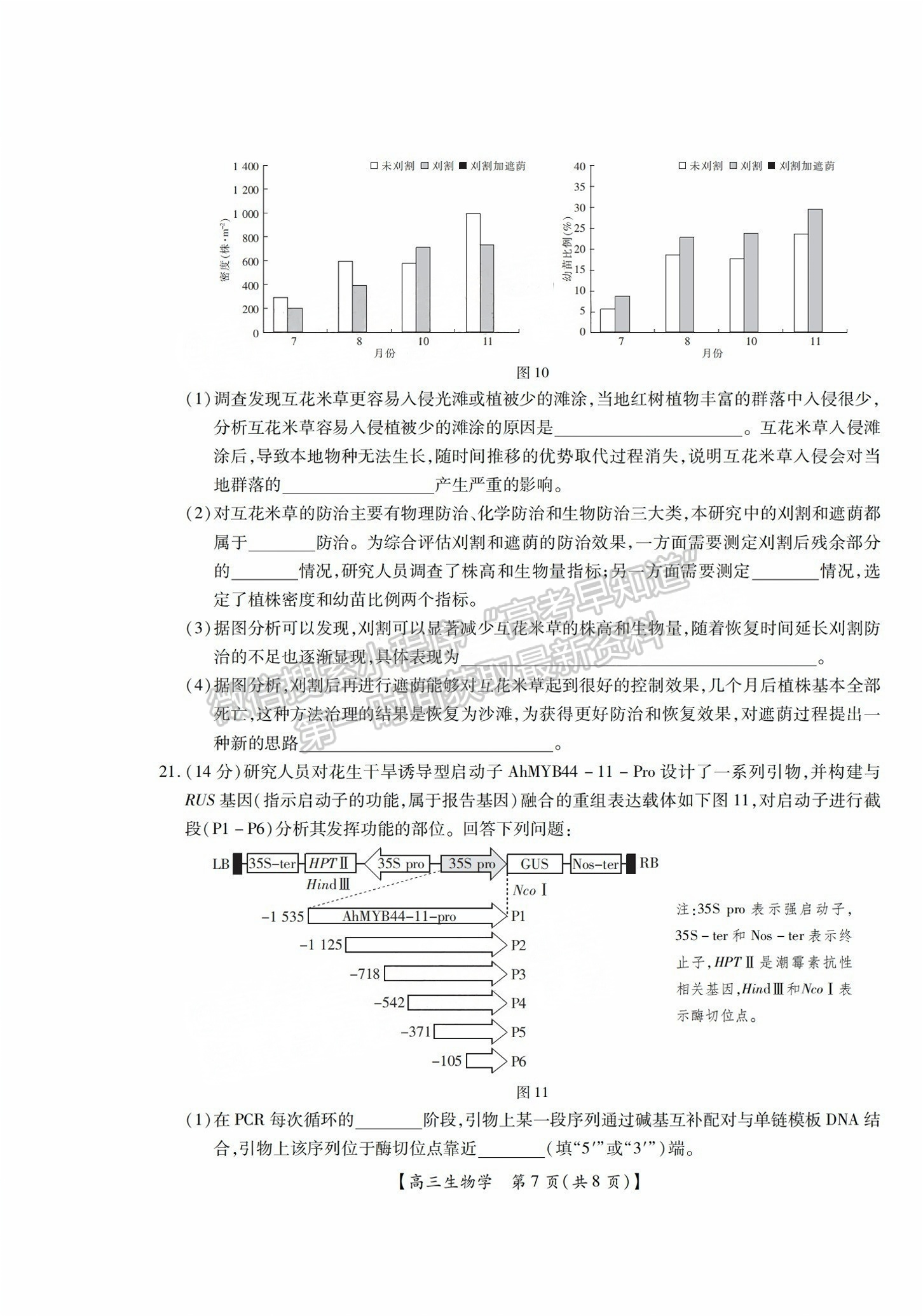 2025屆湛江高三10月調(diào)研考生物試題及參考答案