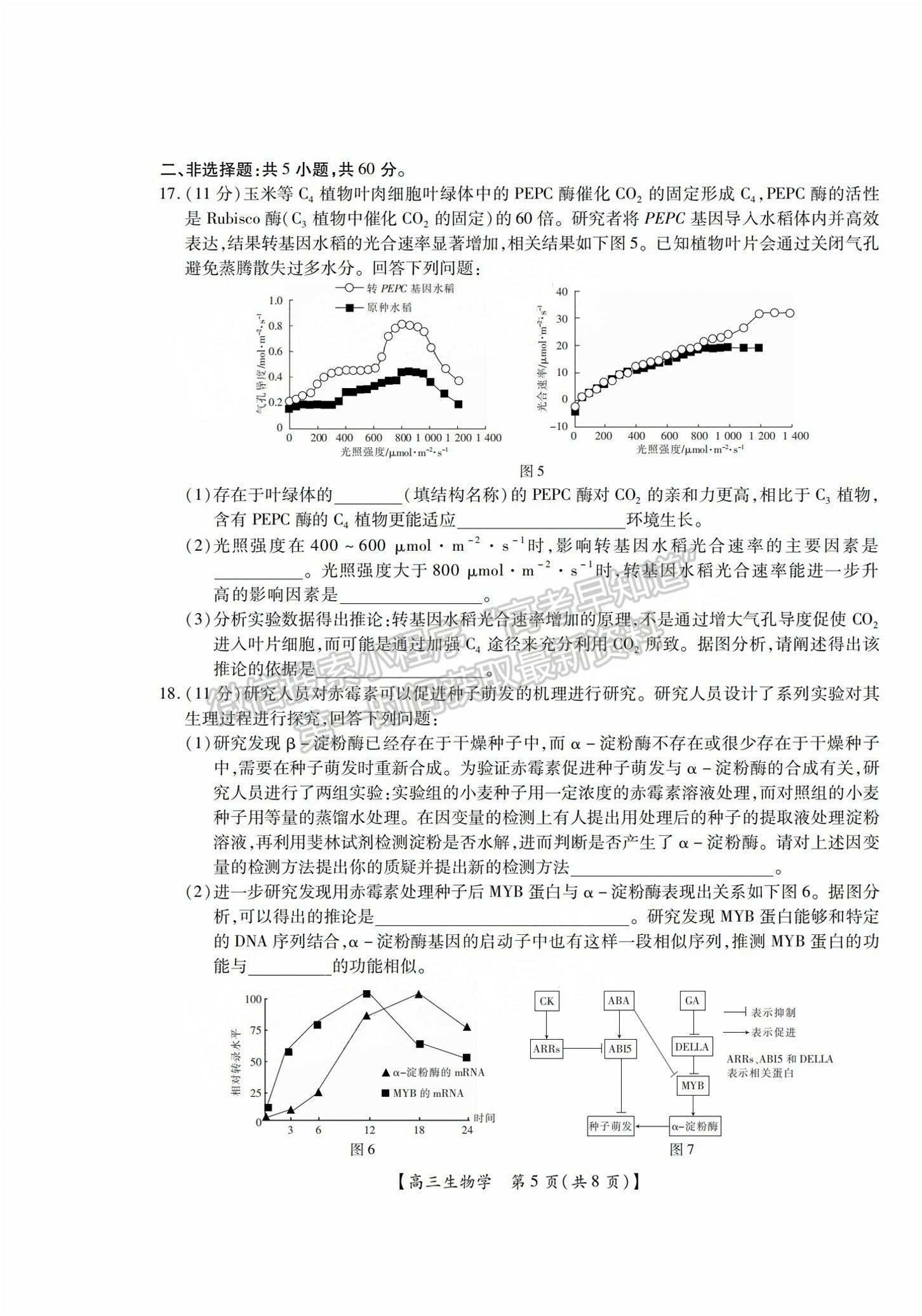 2025屆湛江高三10月調(diào)研考生物試題及參考答案