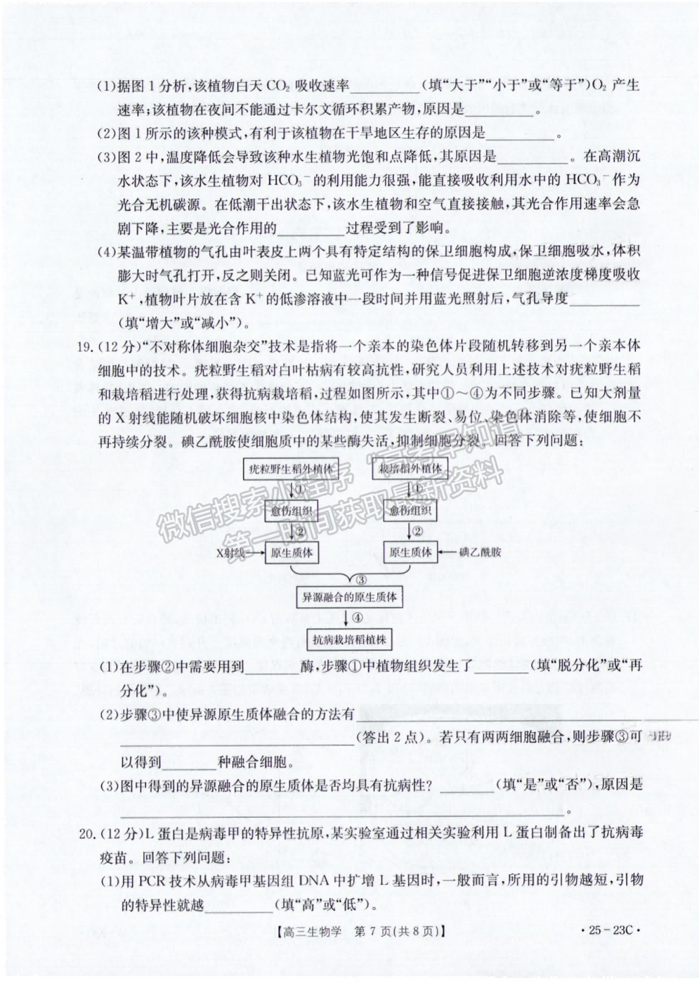 2025福建高三9月聯(lián)考生物試題及參考答案