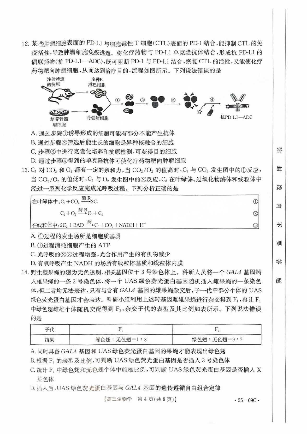 2025㶫10.28⼰ο